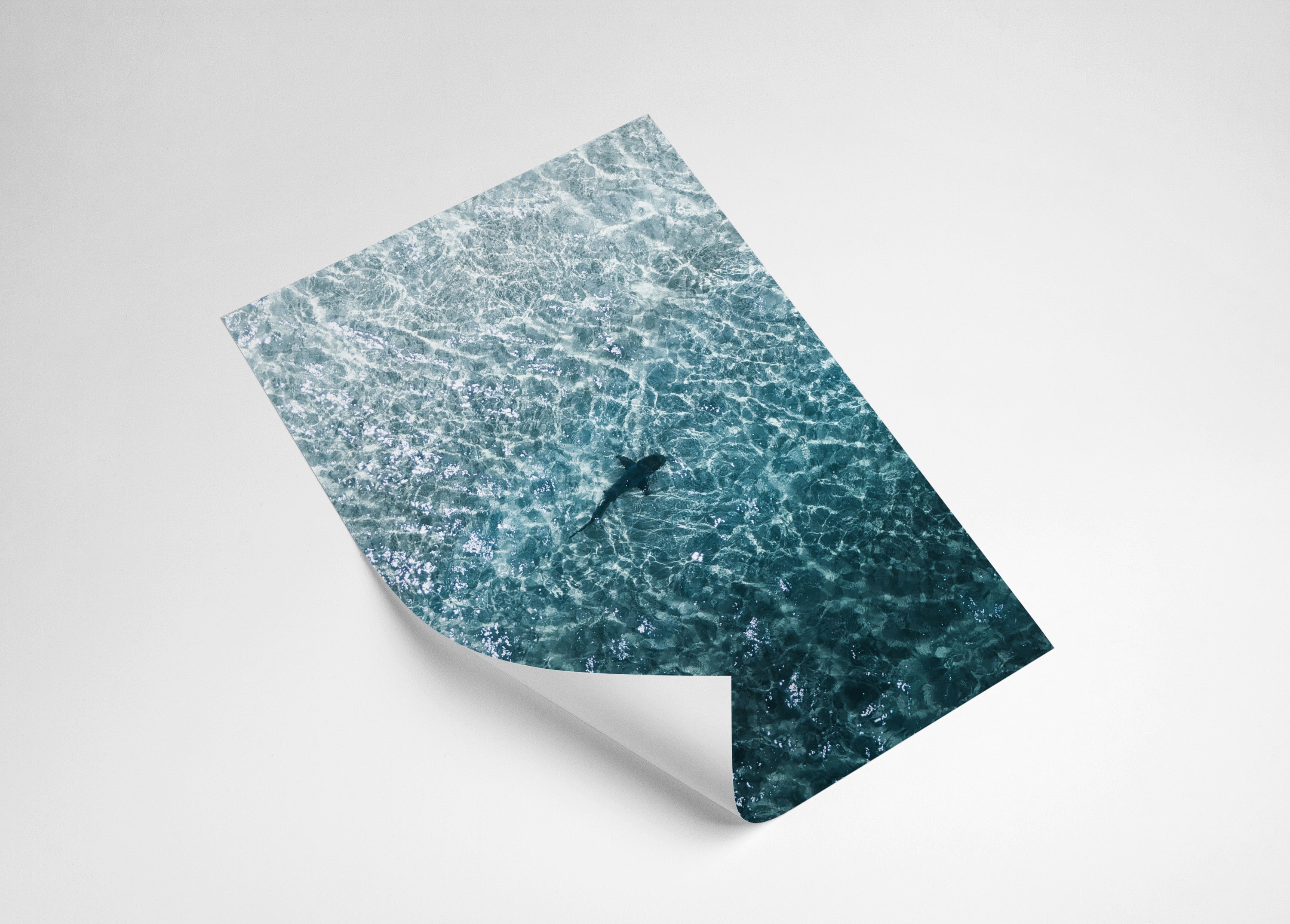 5435f737-3a29-4e4f-8424-81d355b123e4