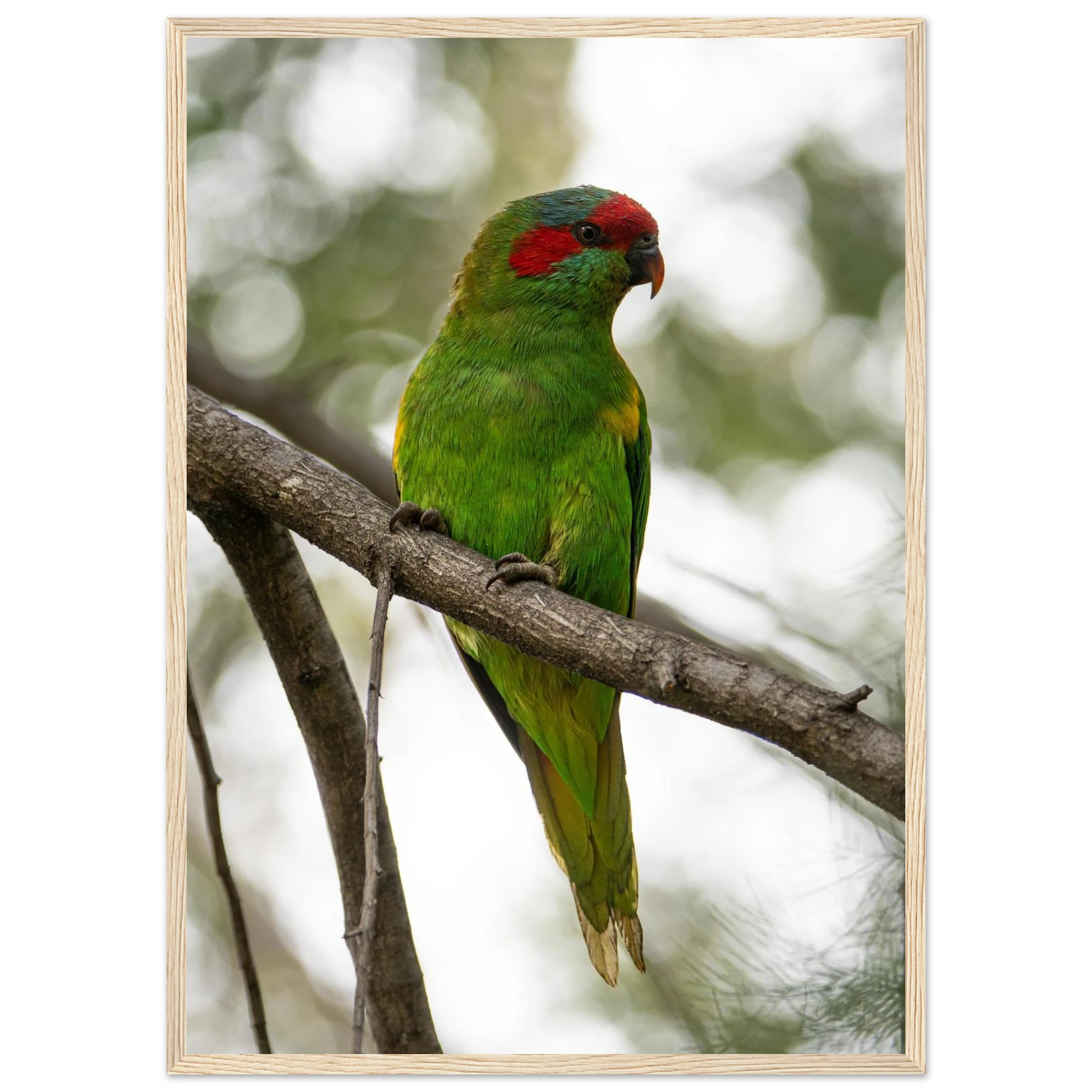 5492860e-f88f-4768-9a34-f7f6b0c01d79