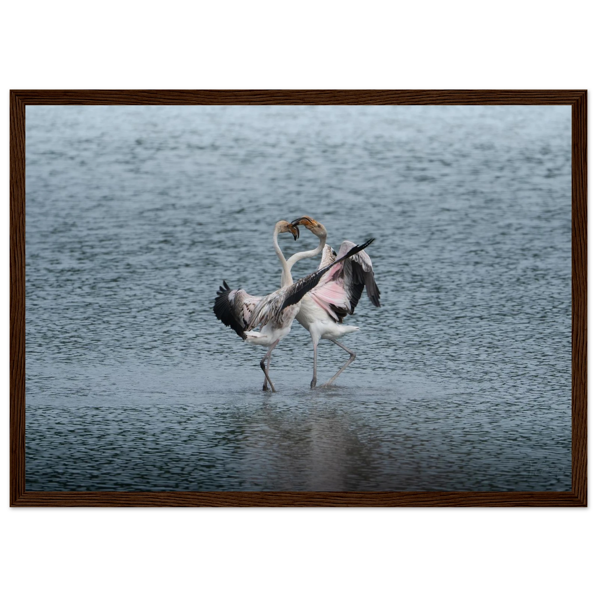 54b414d9-f851-48d4-8e8d-a52092d57895