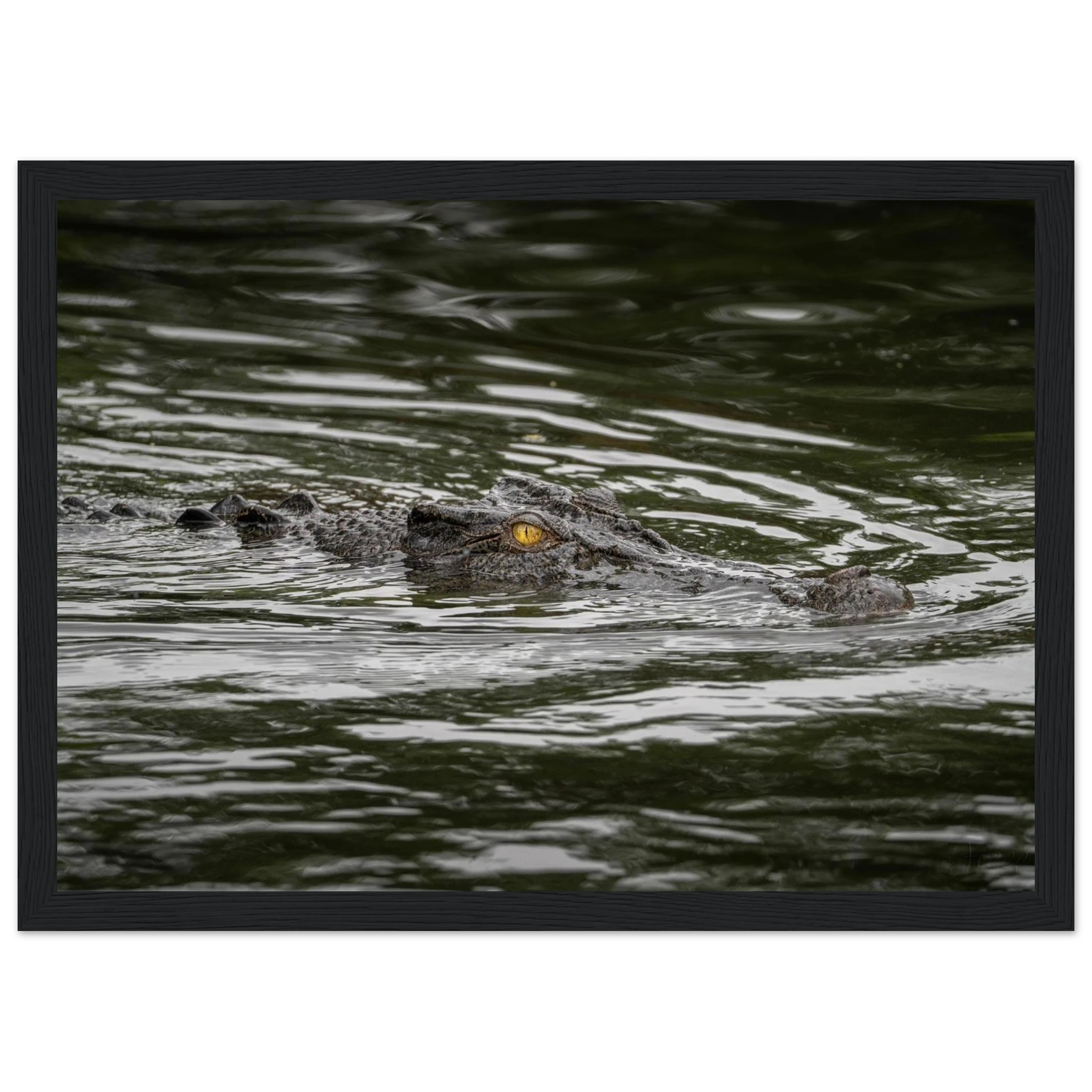 557e9174-674b-4e6d-ac29-926427204eec