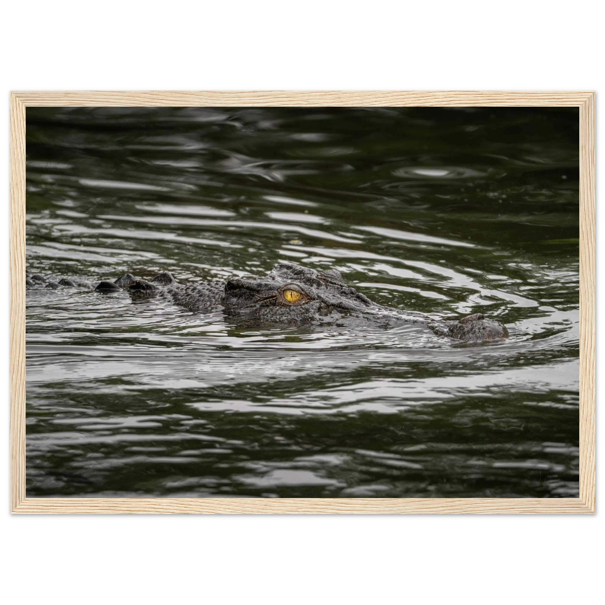 56b9ca14-4d0e-470c-90d1-5a8fca2e19ee