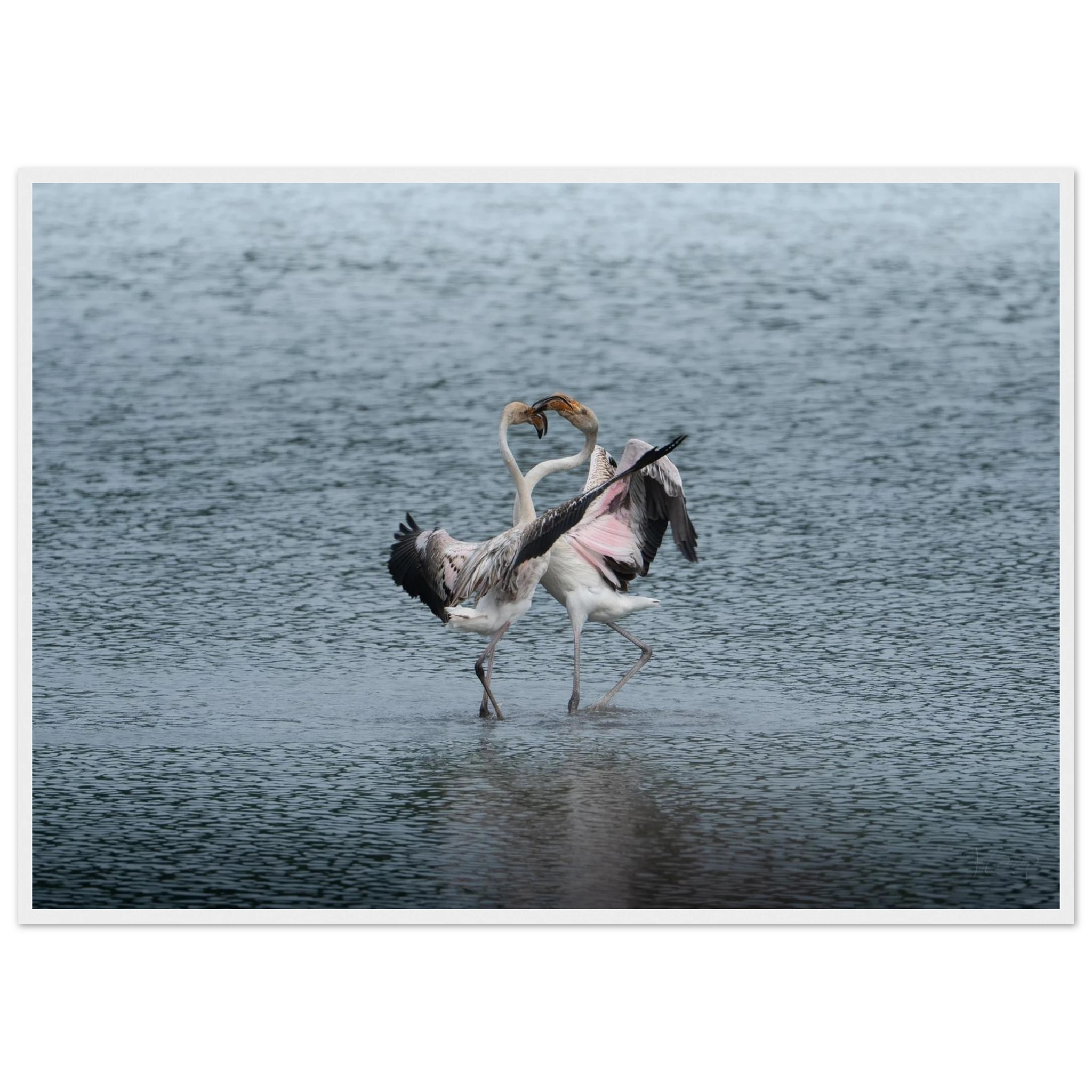 56c35b88-d0ab-4d4a-b83b-25268a6fa35b