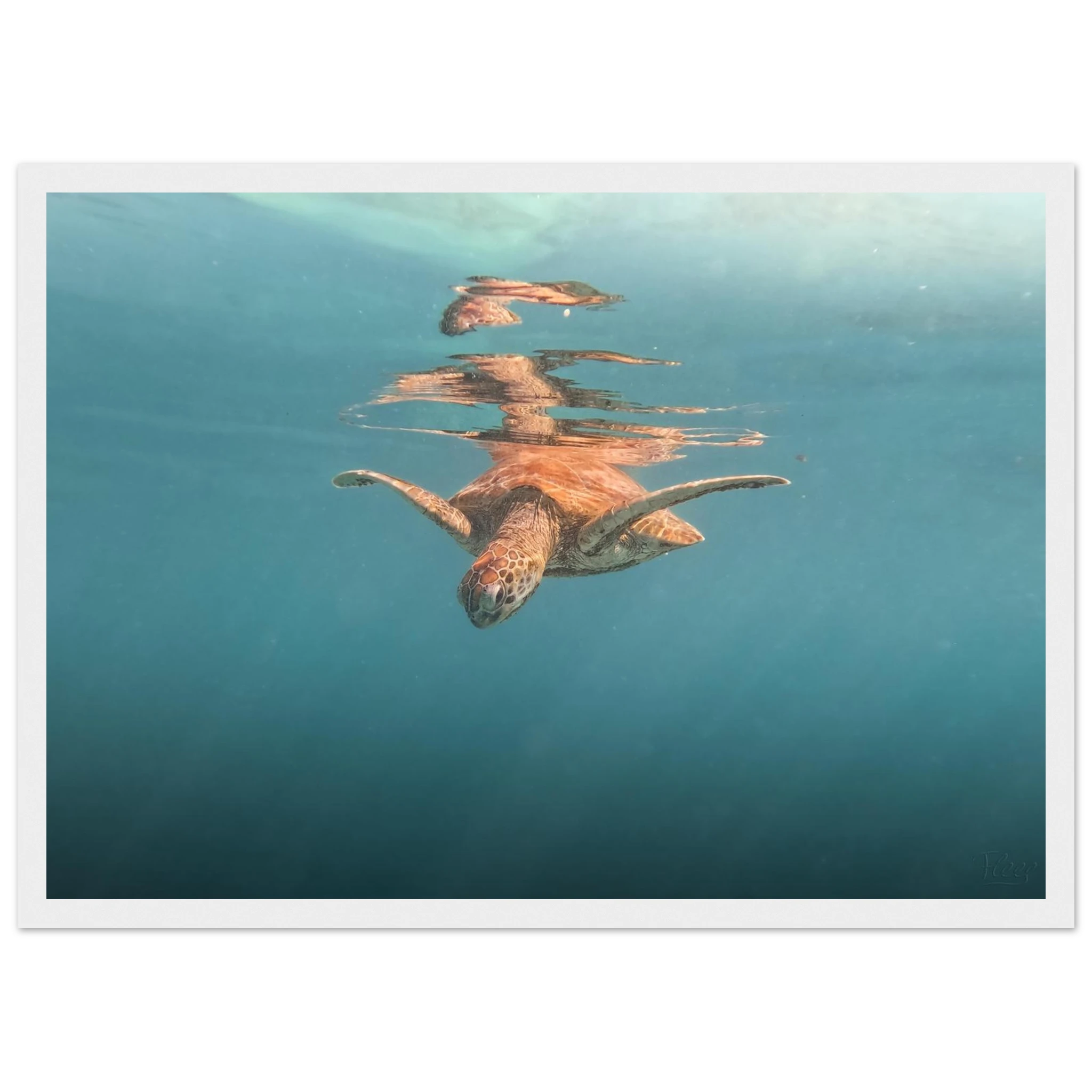 571a5f29-174f-4ed5-bd6b-deb3f59b8f53