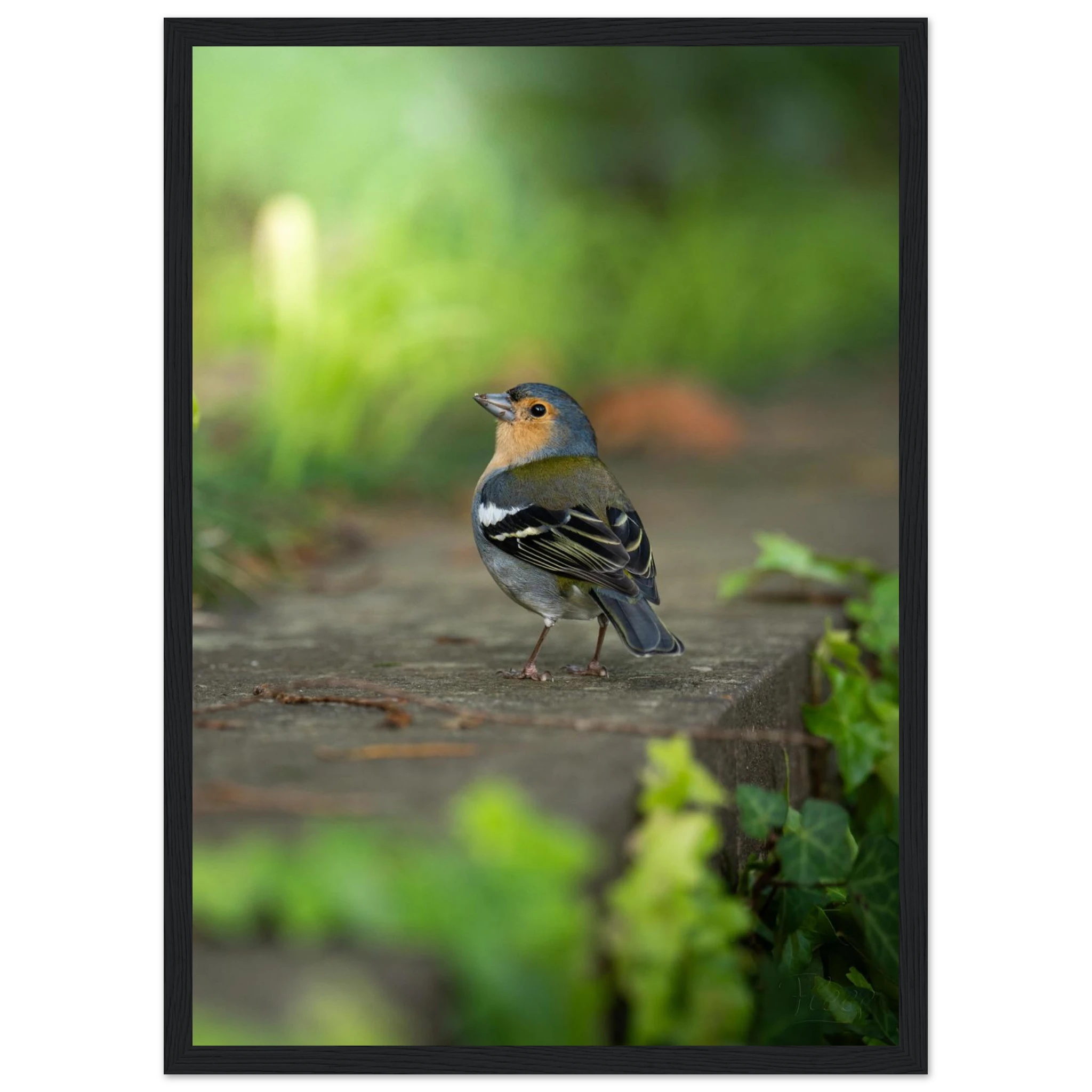 5727c14c-0bca-47bc-93a1-a08b83eb3964