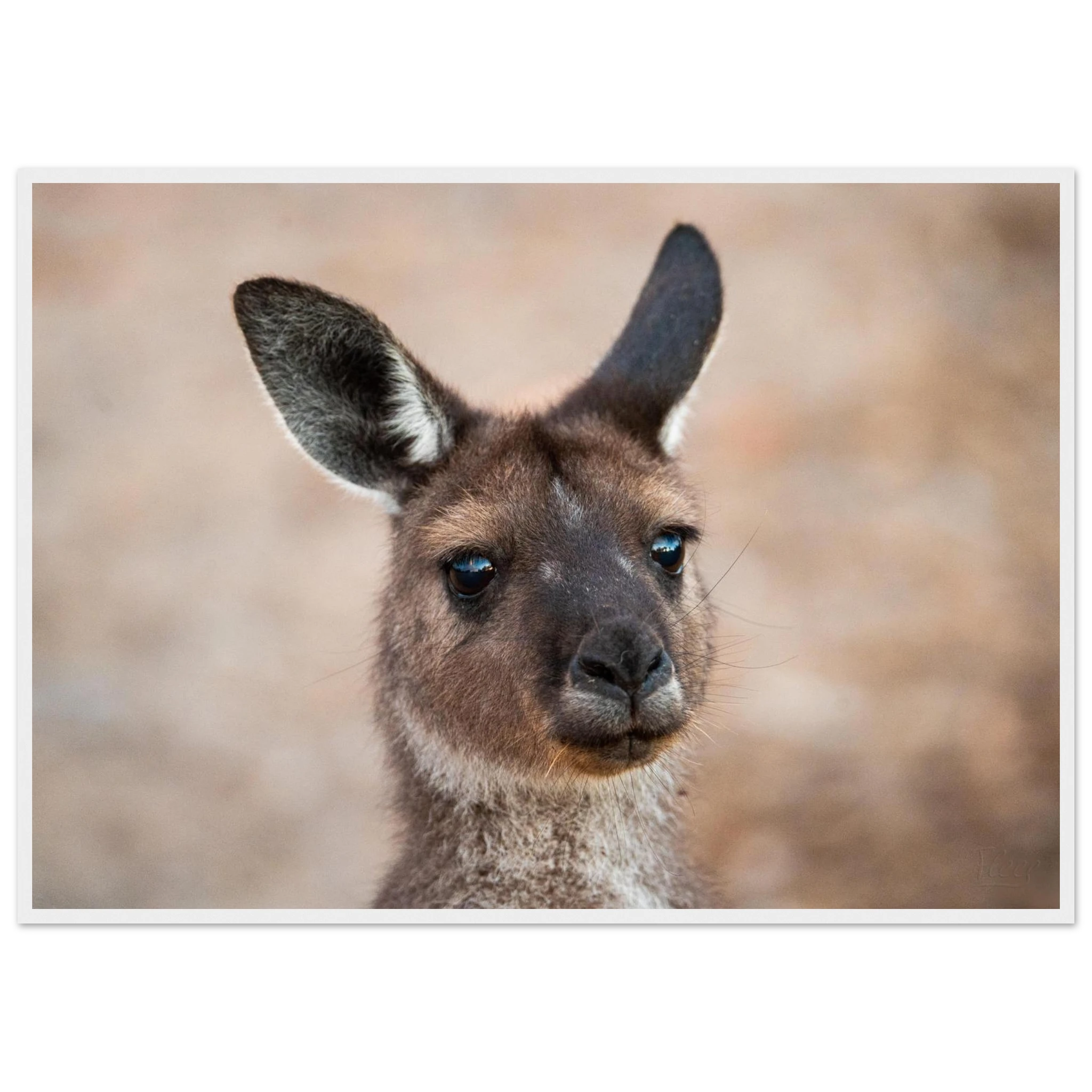 57e0e9e6-ef36-4492-86c2-231bce11b0d0