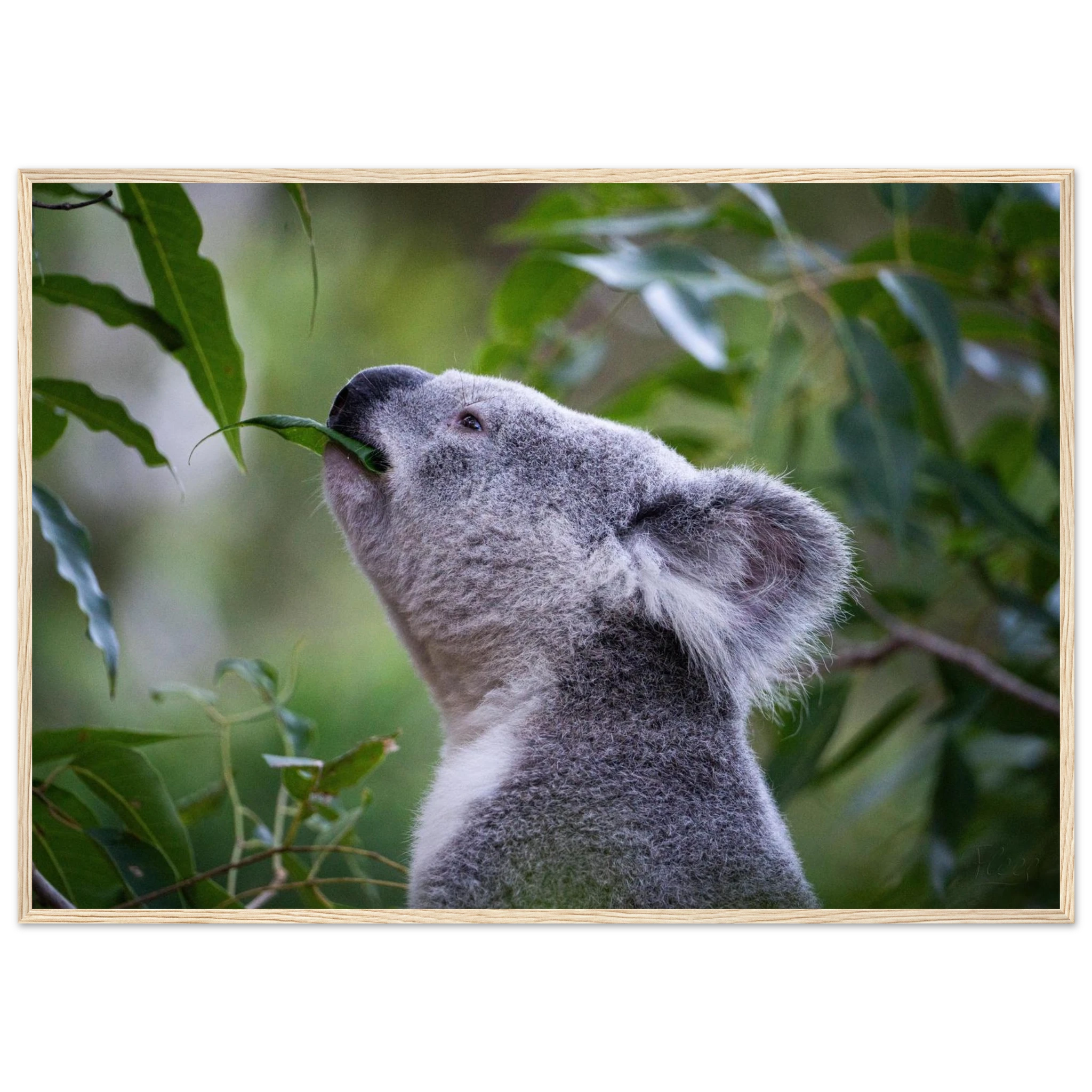 580d84d6-802c-45a4-bbee-001135e13caf