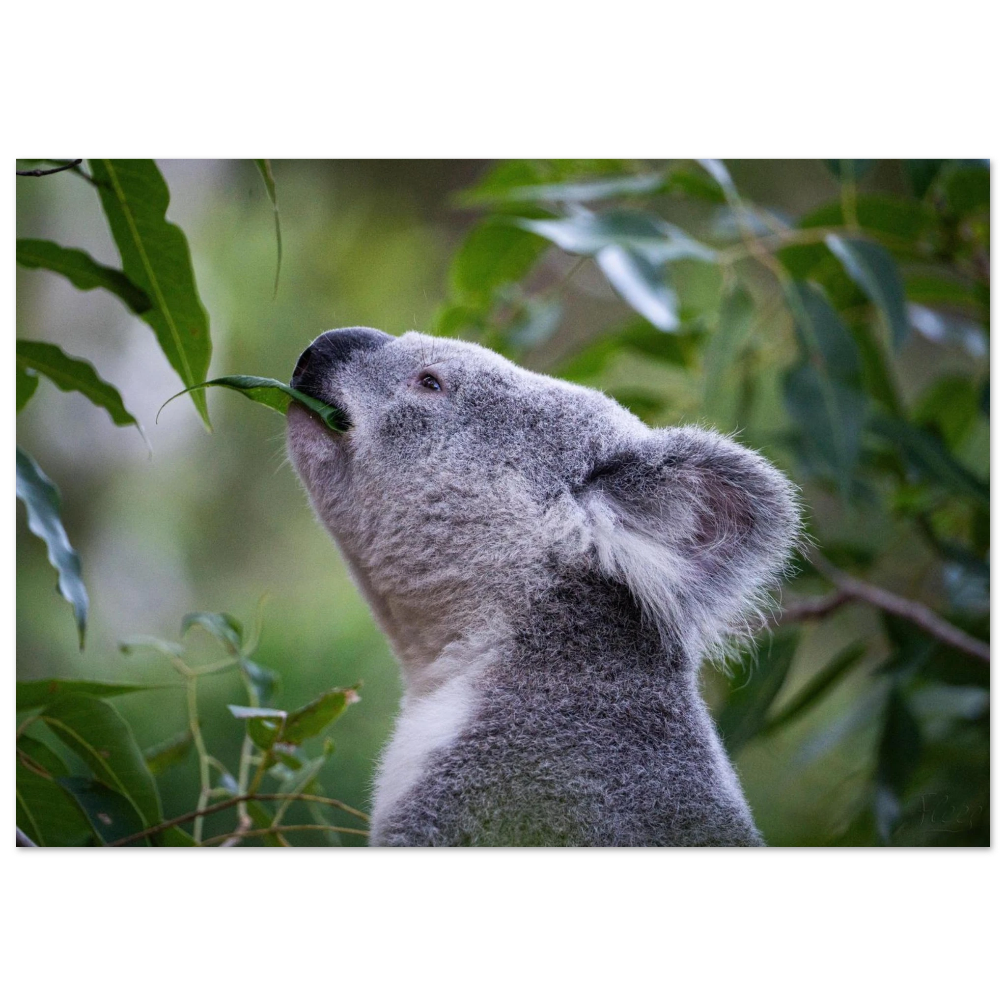 593500e7-91b5-4625-9b08-aeb1721bdf85