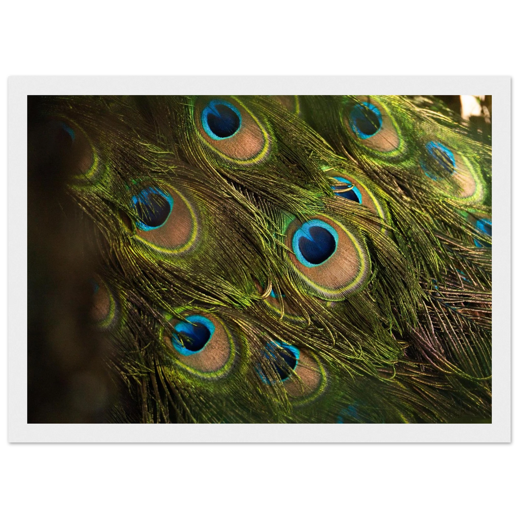 59a049a6-7153-4520-abdc-485715084b4e