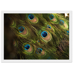 59a049a6-7153-4520-abdc-485715084b4e