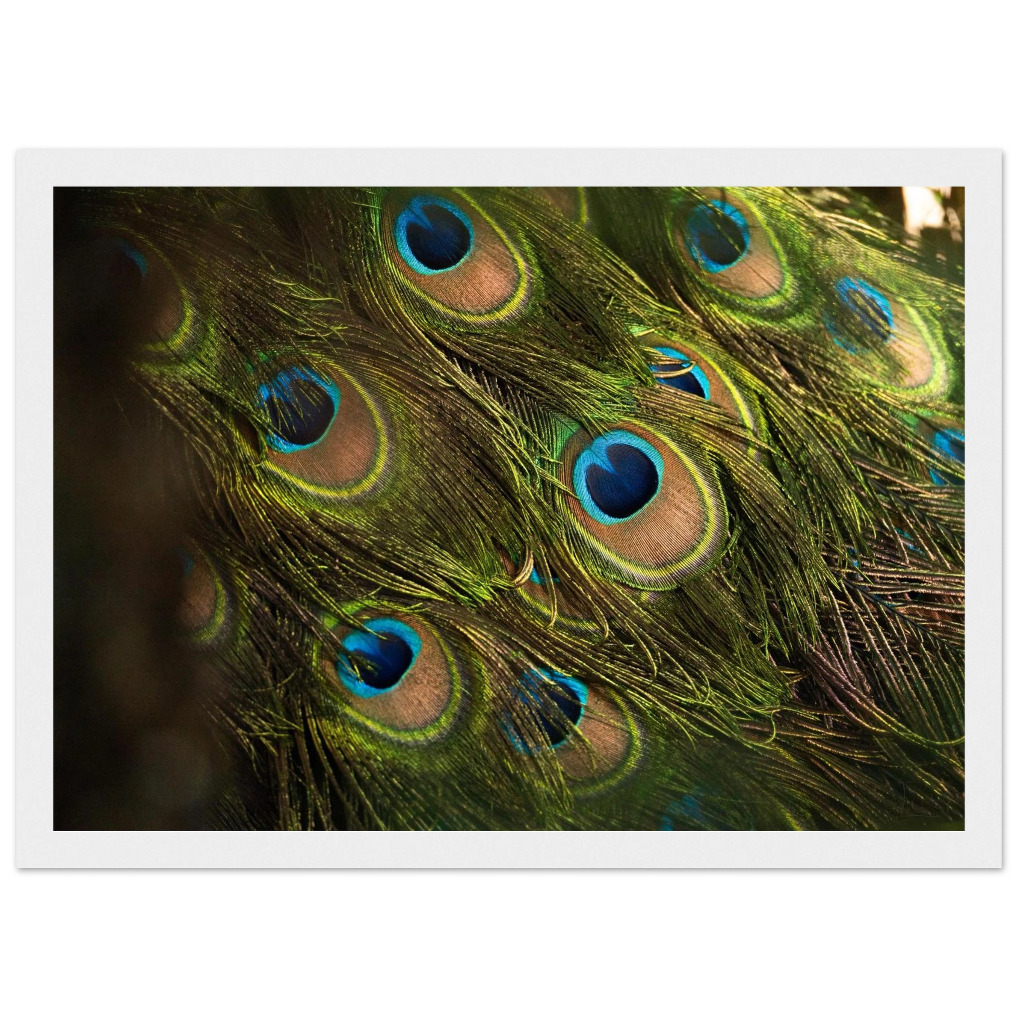 59a049a6-7153-4520-abdc-485715084b4e