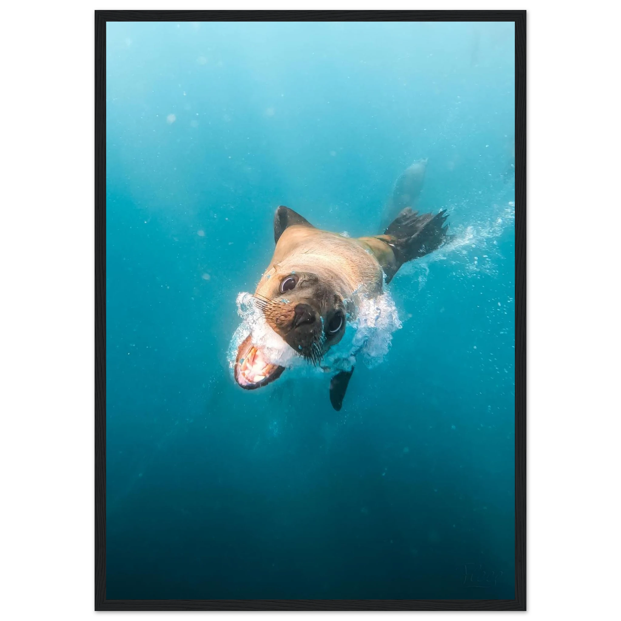 5a1487ba-87b3-4438-aed6-f39b4b1d2c8d