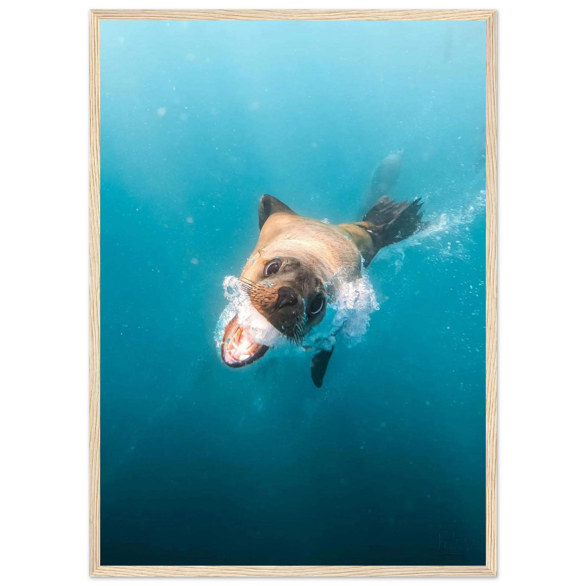 5a20b6e8-e9bf-4dc7-a3ff-86150468d94a