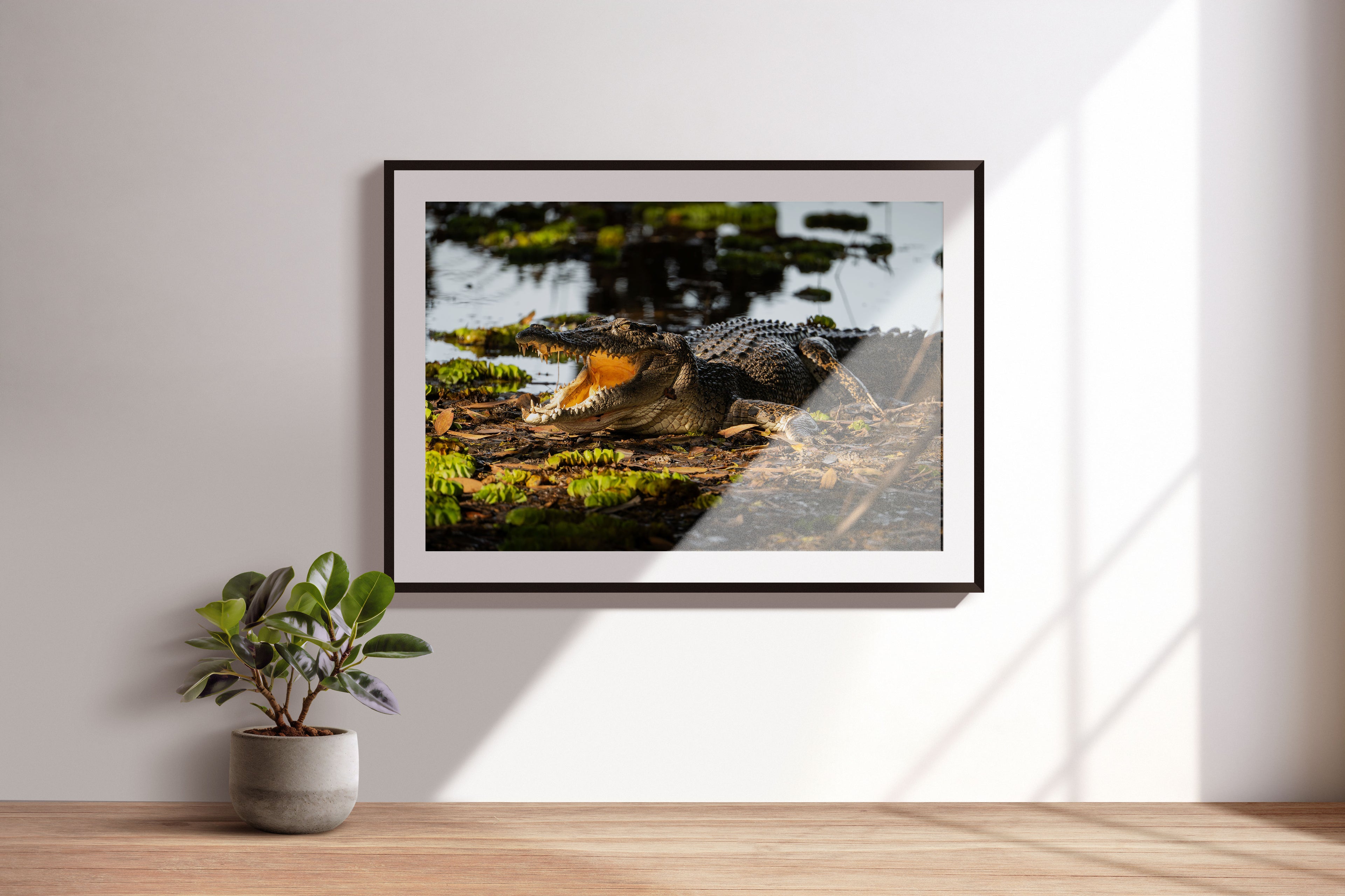 5a2f7015-6f25-4014-80ab-a66fdae0fd4d