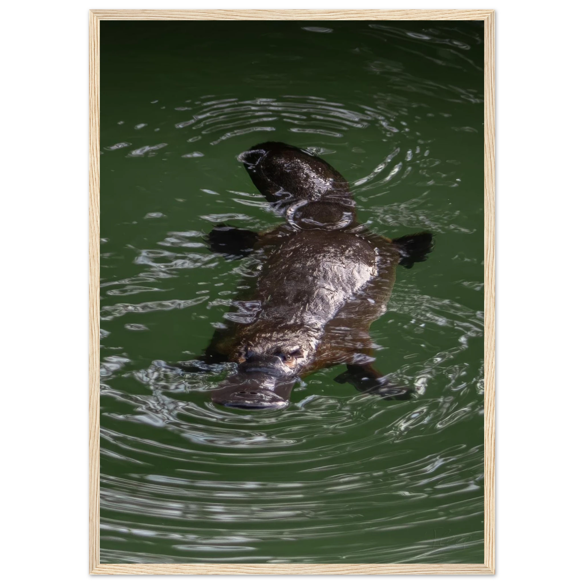 5a64289a-06c9-4d73-b717-aa7cf4a11568