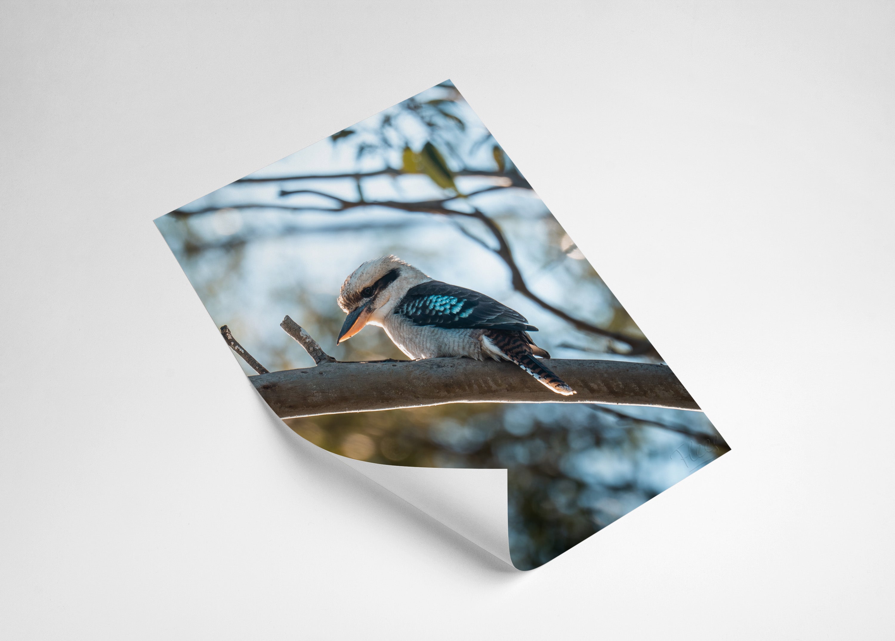 5a7f3039-e683-46db-86de-f631cf0cdd44