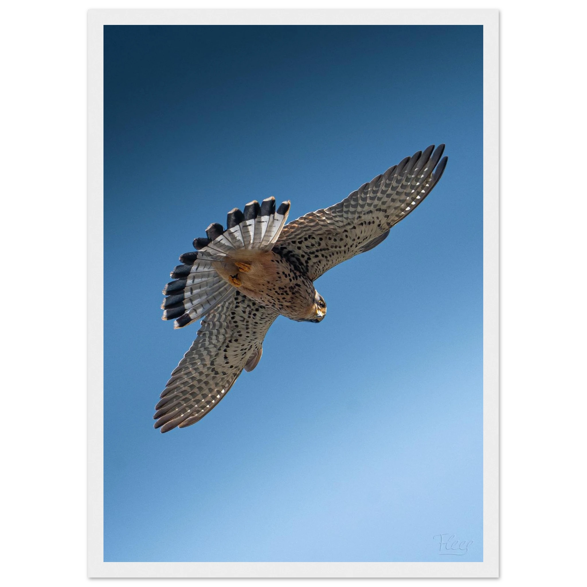 5bbfceb1-e611-4407-bf37-da28596906c7