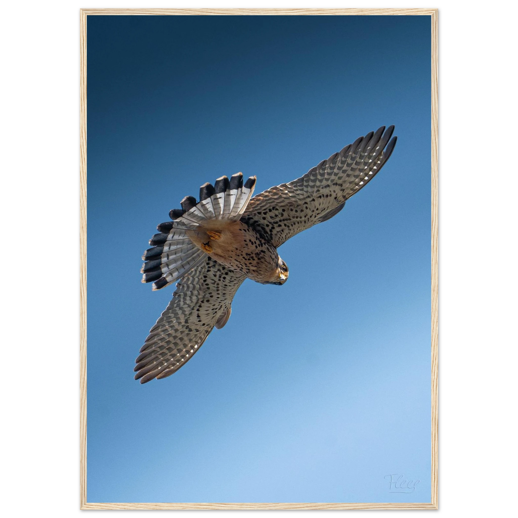 5c397fe2-ffd4-49c7-8398-ac78dd6d3f88