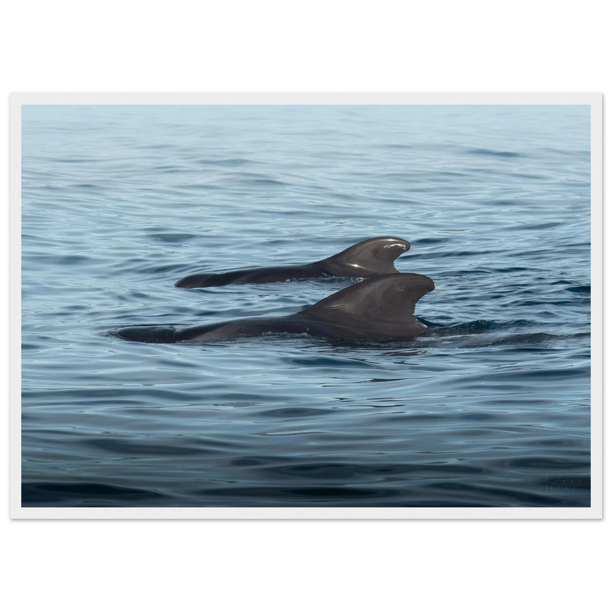 5c4cee42-66c2-46bb-b557-a3b627c9768d