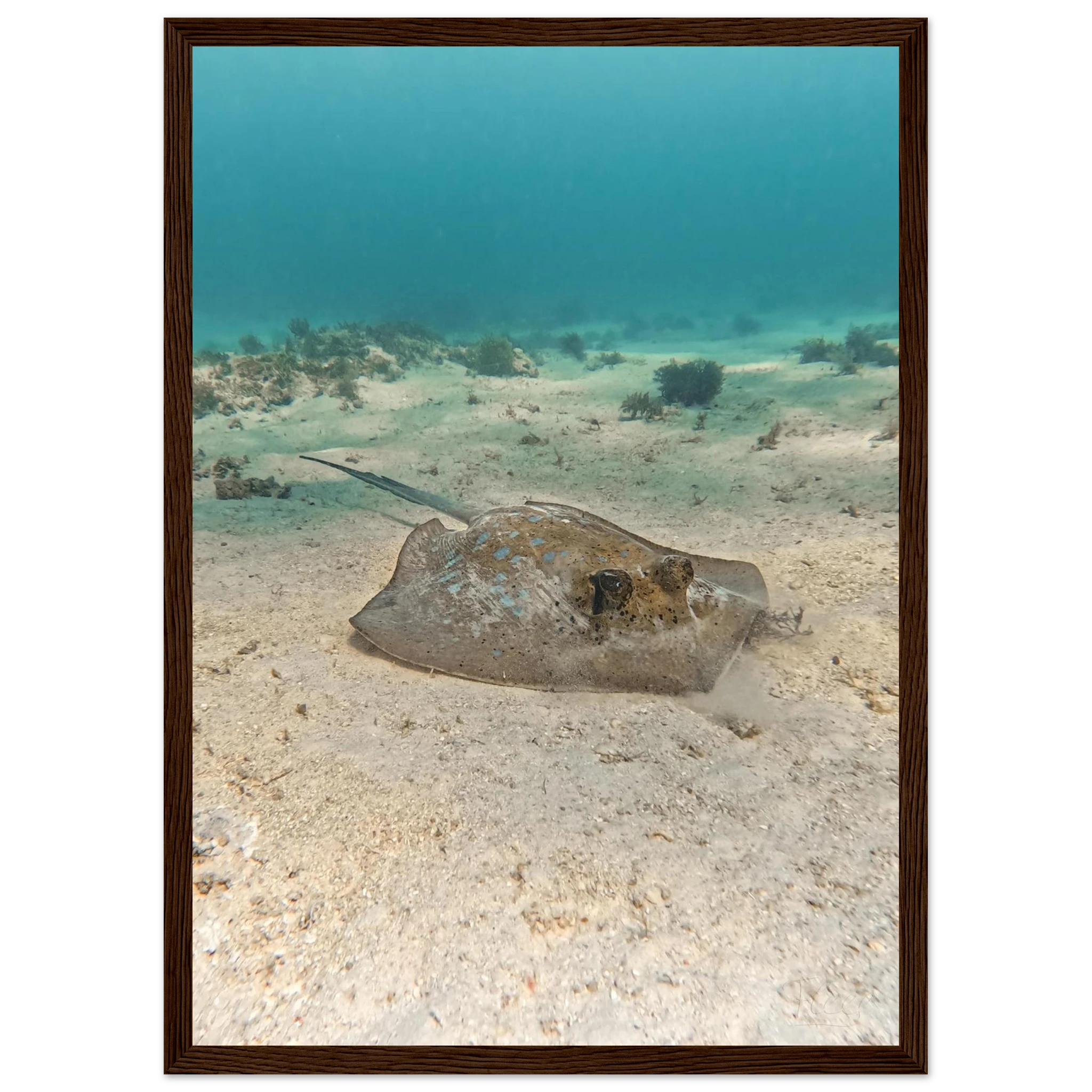 5cd0b20f-0614-4b05-a592-d2a680387c07