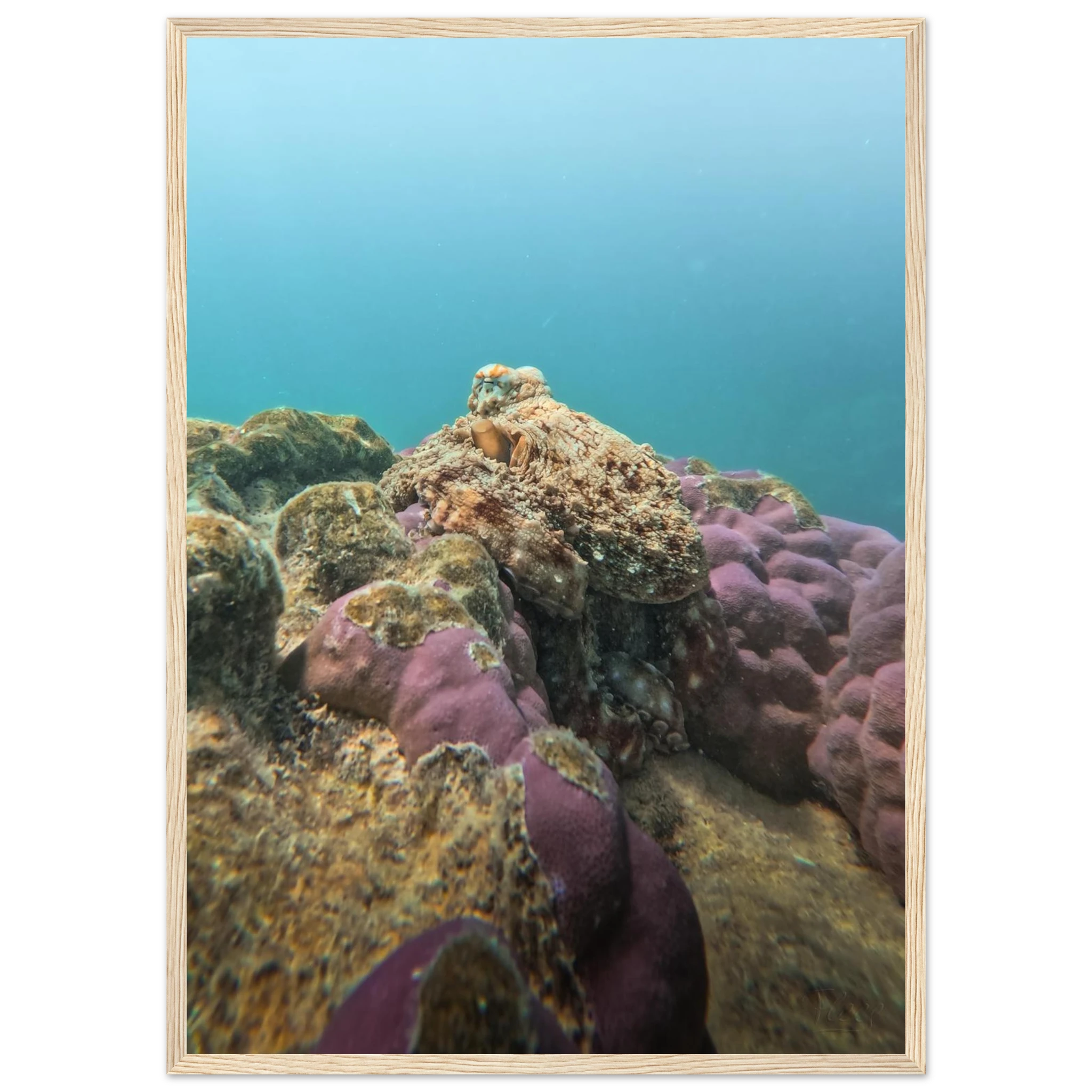 5cfa203b-8905-4312-a295-96abad72f92b