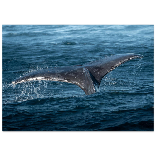 5e107a34-2d09-4f10-96f3-3caa52038bfa