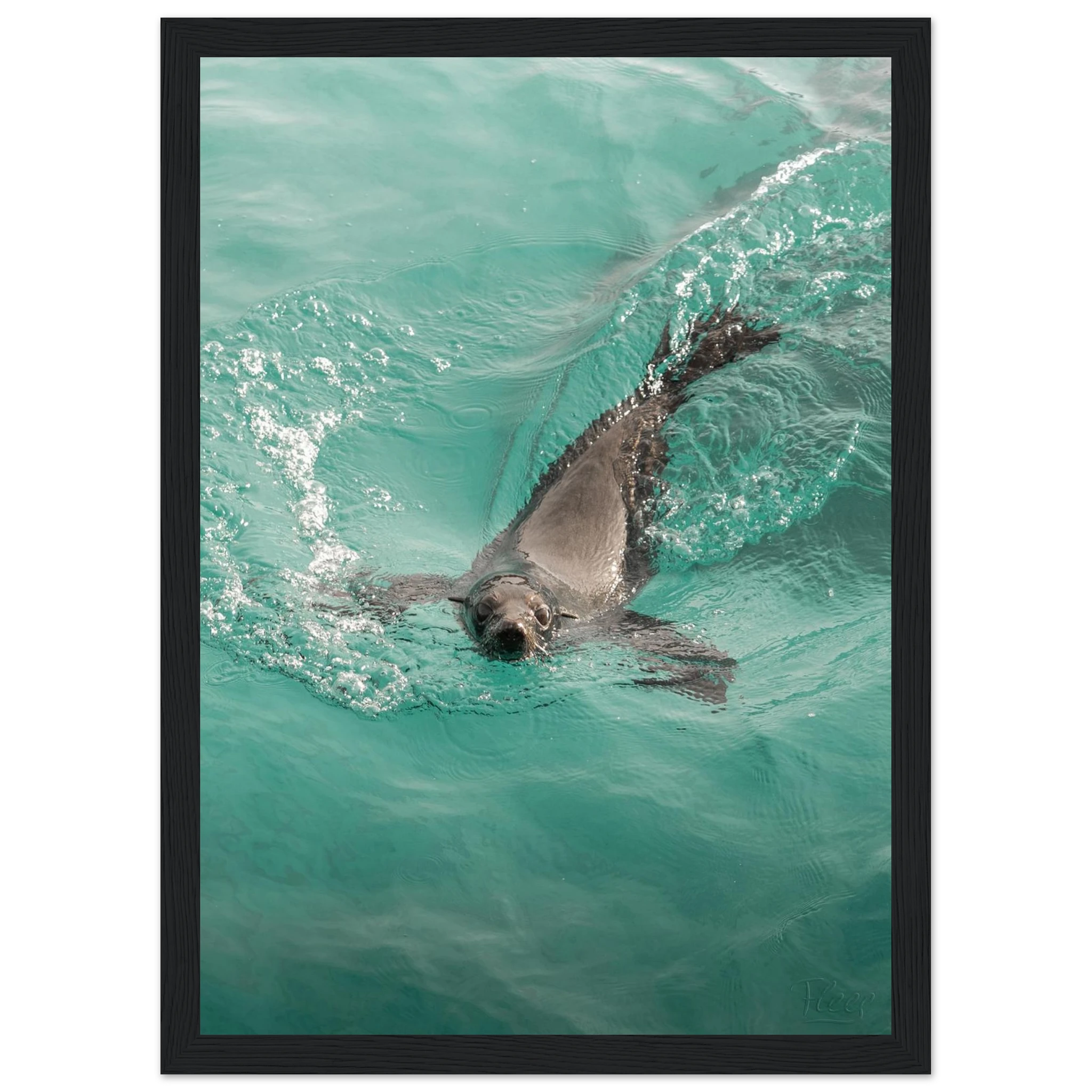 5e179b48-b314-414b-9891-d1e05f6b74d9