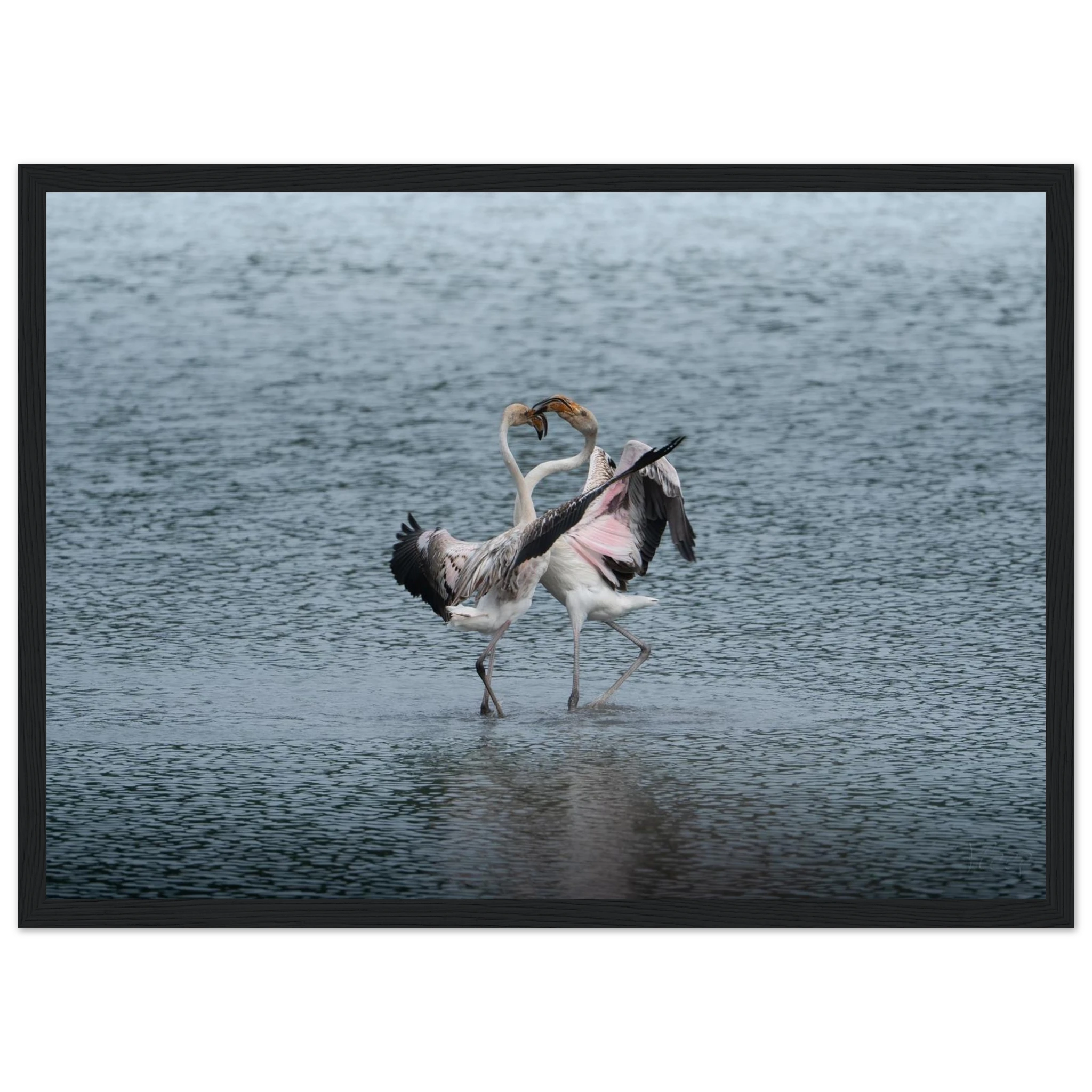 5e2df6ba-96e8-4686-a9c7-e068c1c61252