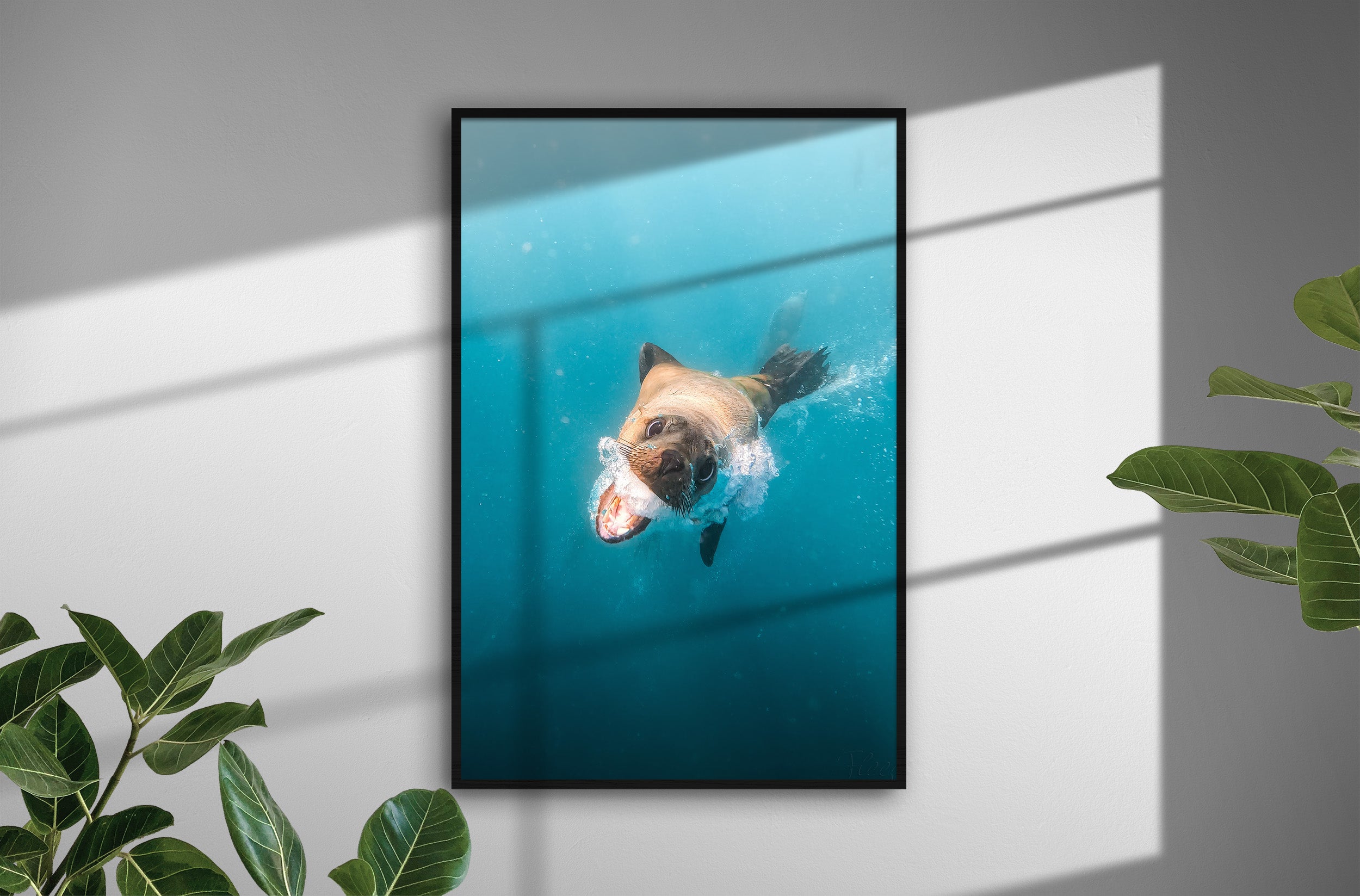 5e5a6167-3076-4731-b59c-912a990f6673