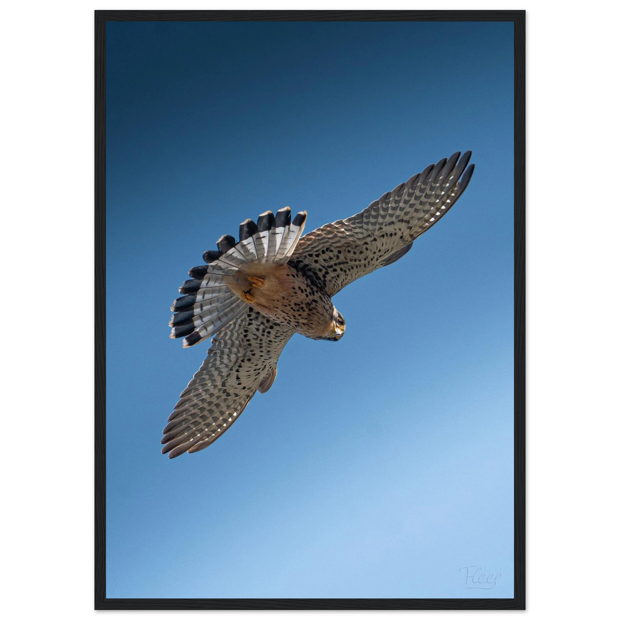 5e96e735-cb77-49fa-94d0-91fc4cdf2ee2