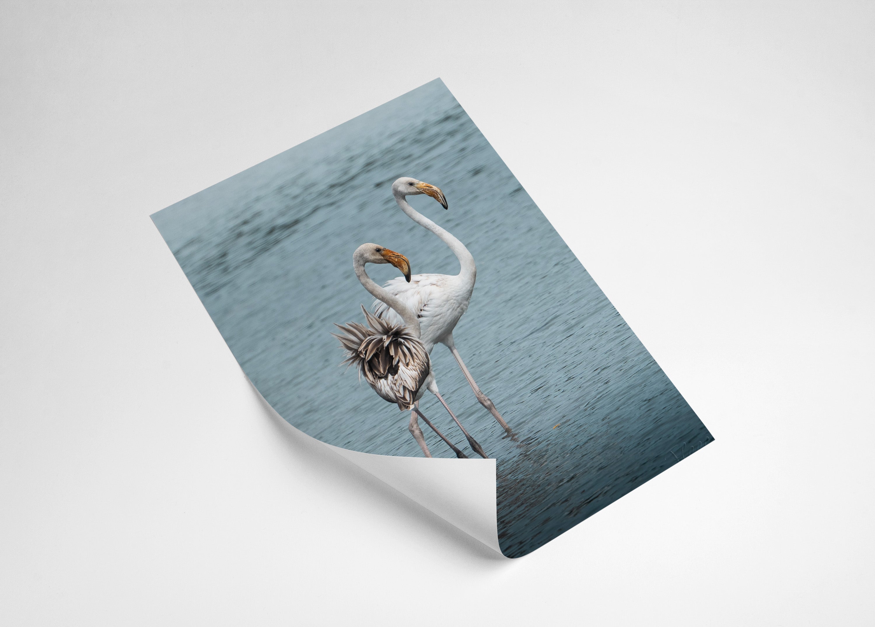 602e4cf7-7ddd-4c09-9590-e3688342a85f