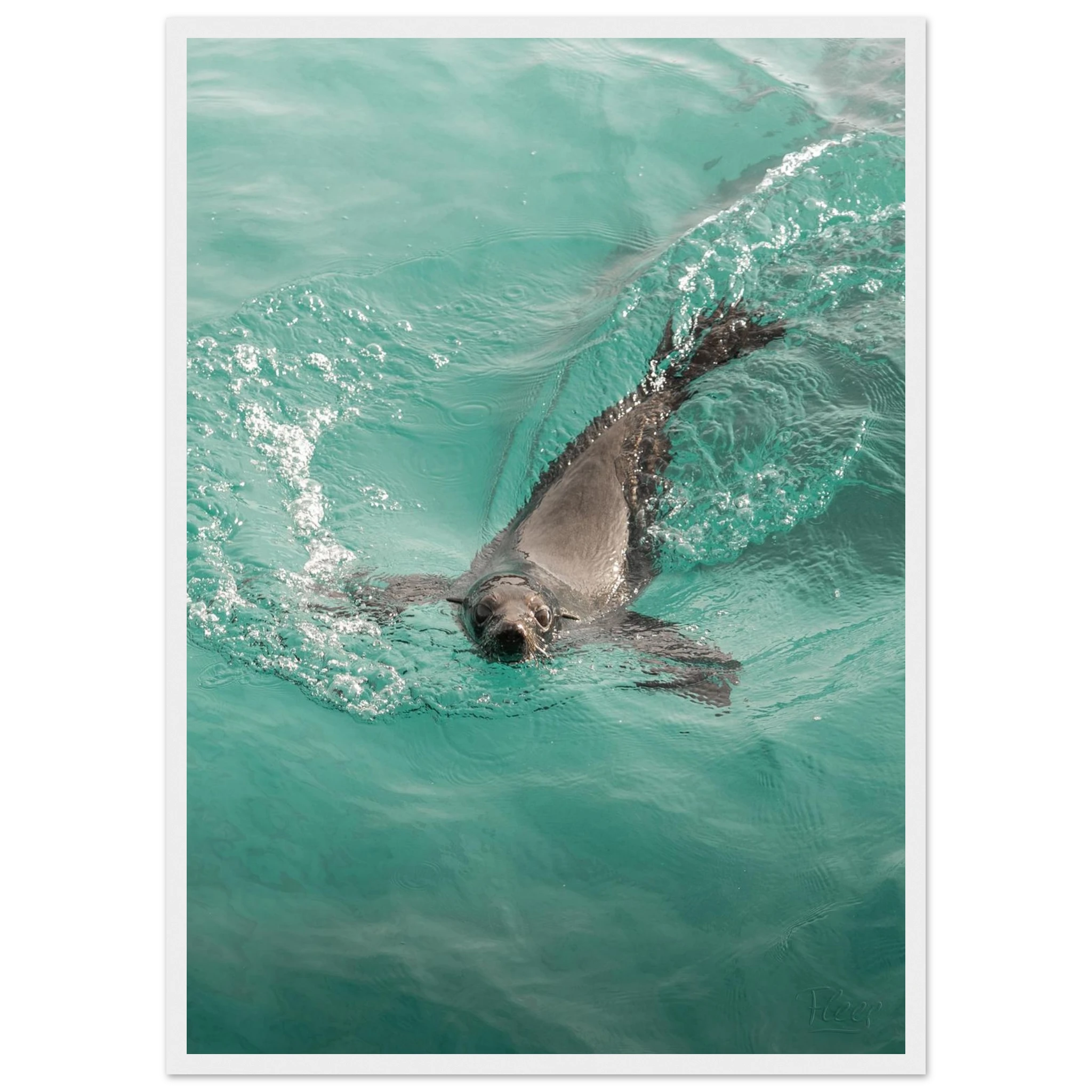 608843e6-d452-4e66-a90e-93dd39881f97