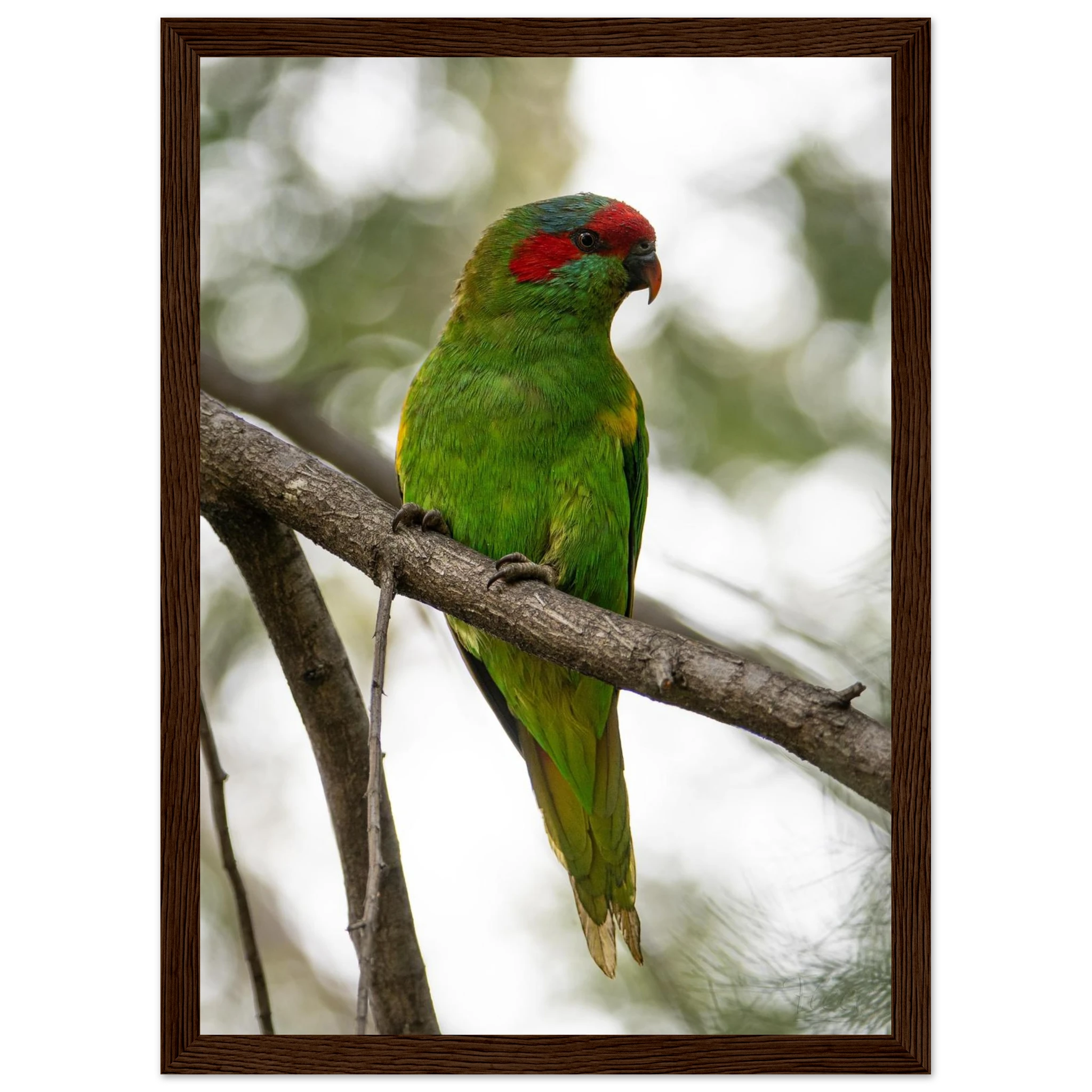 6273c135-c1fd-412e-be5f-e02c00e3d45c