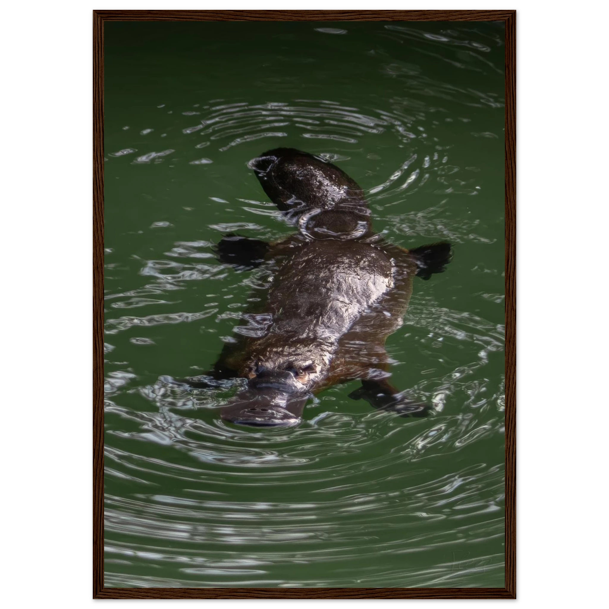 629c18ec-9f41-4ab2-a69d-2340c180a690