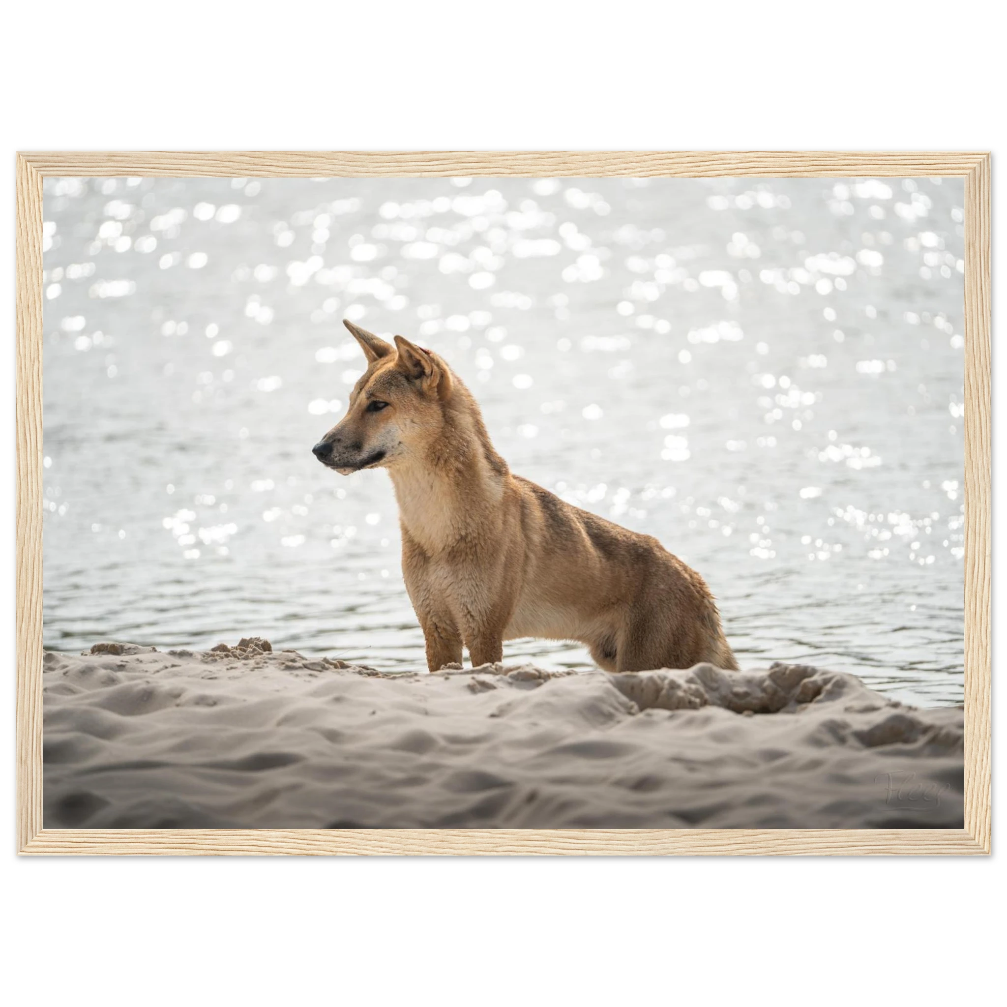 64e2b5ca-4b62-43d2-abf5-74b79d5f6022