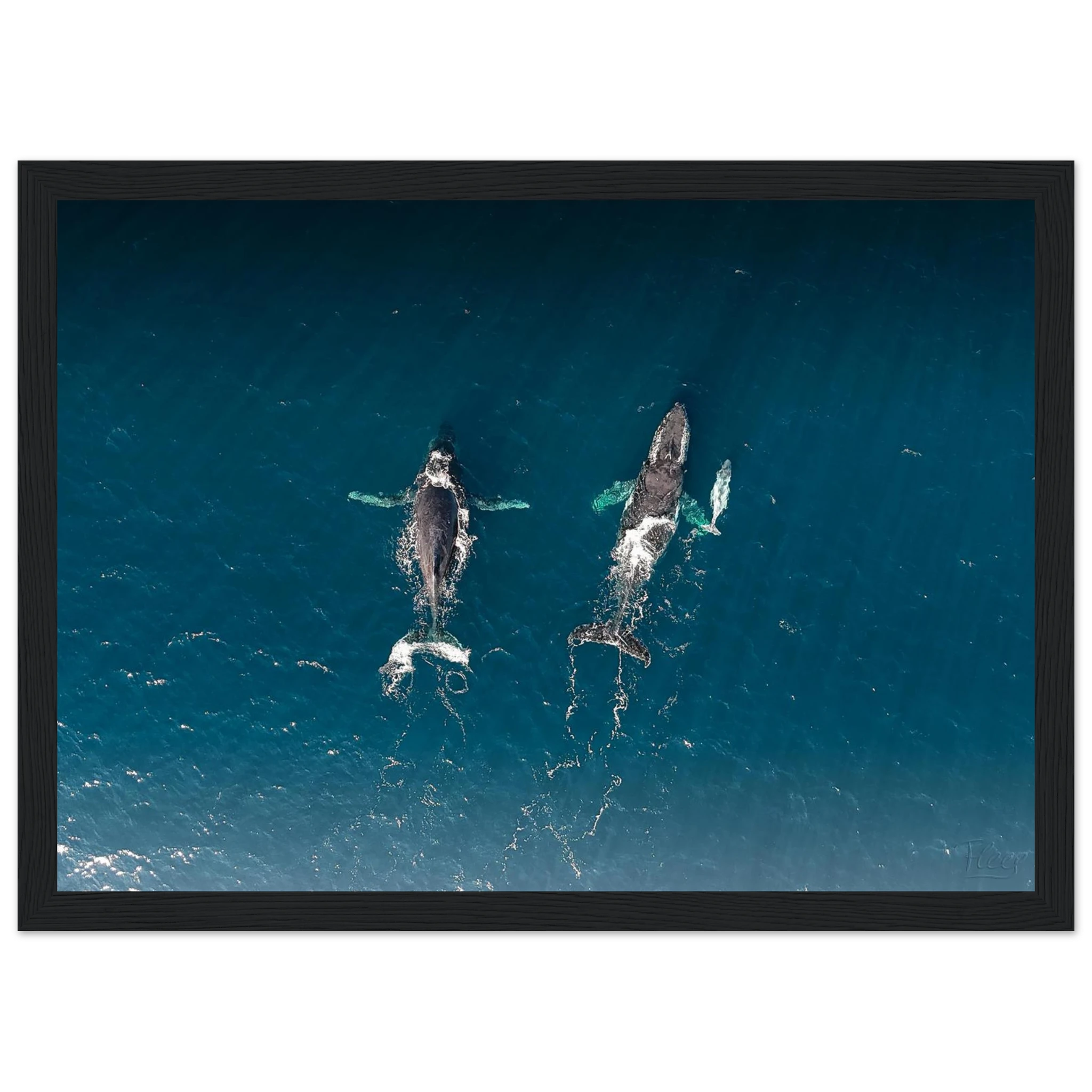 653b0497-2f72-498c-9a5f-c5474641a3f0