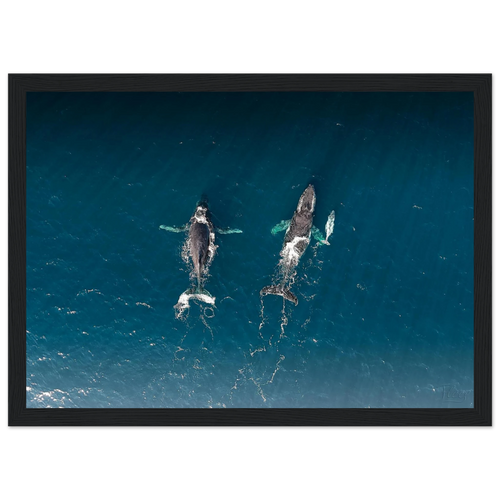 653b0497-2f72-498c-9a5f-c5474641a3f0