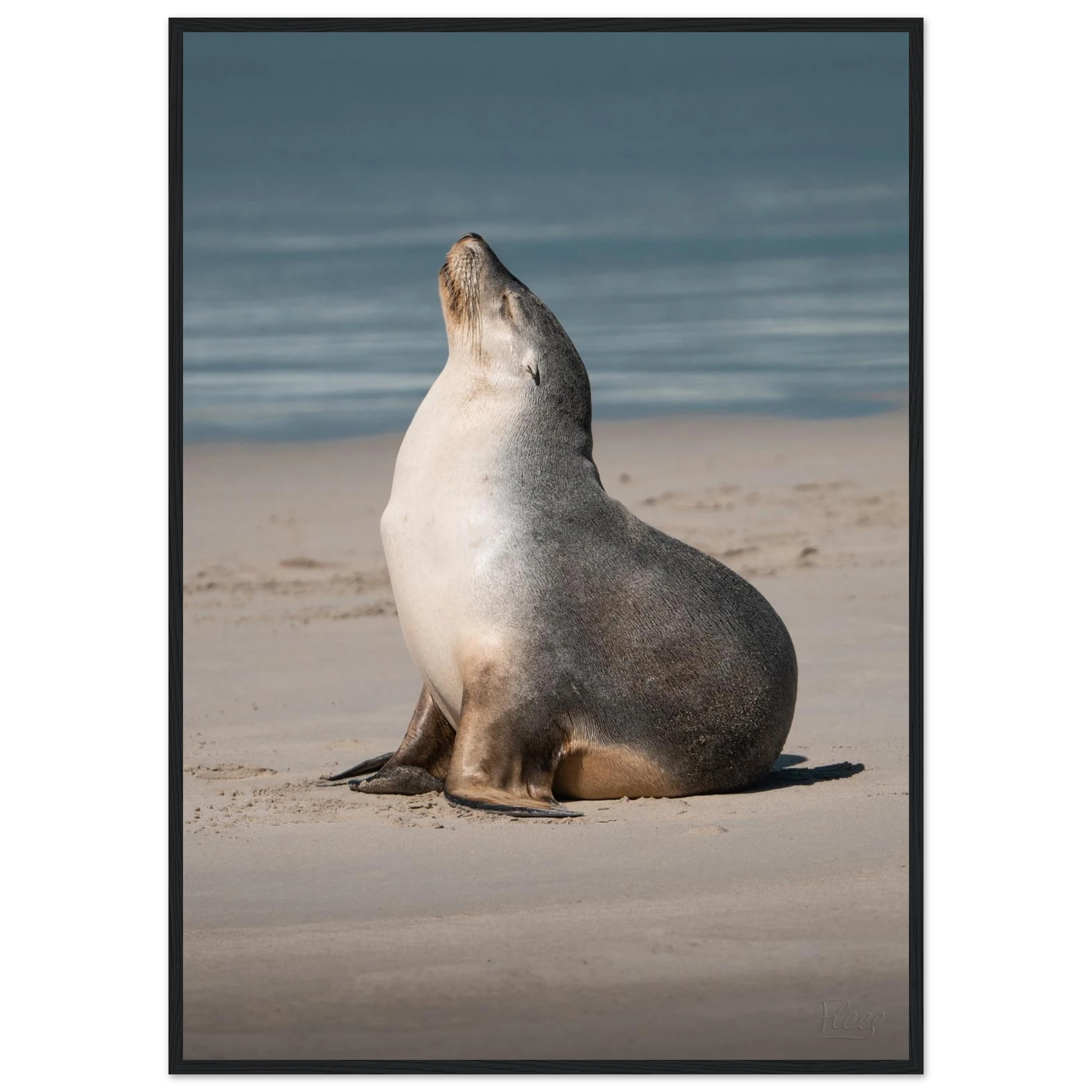 655aaf67-5f79-495b-8761-92fadb61fc30