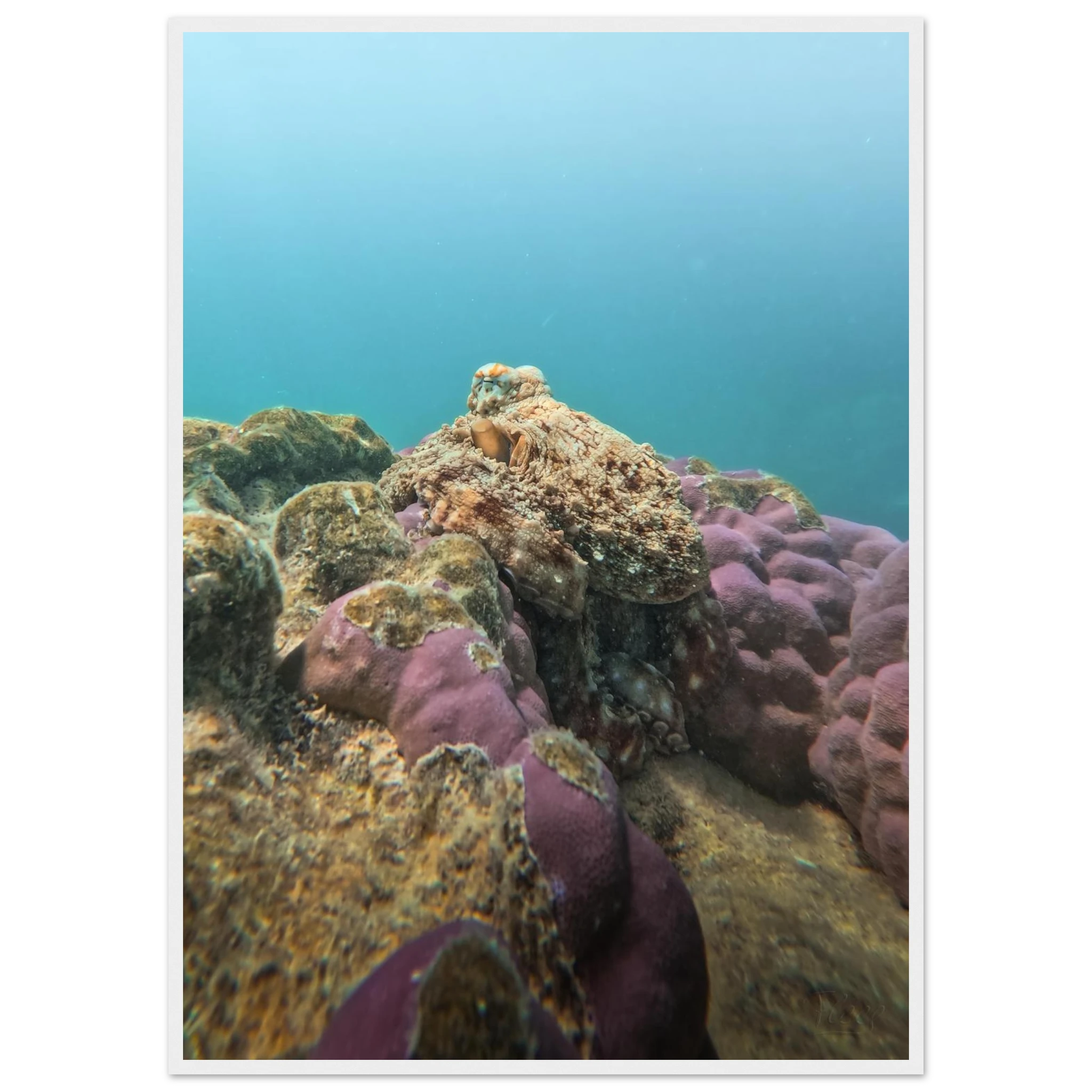 657f67ef-e040-4568-8685-81d537c34c88