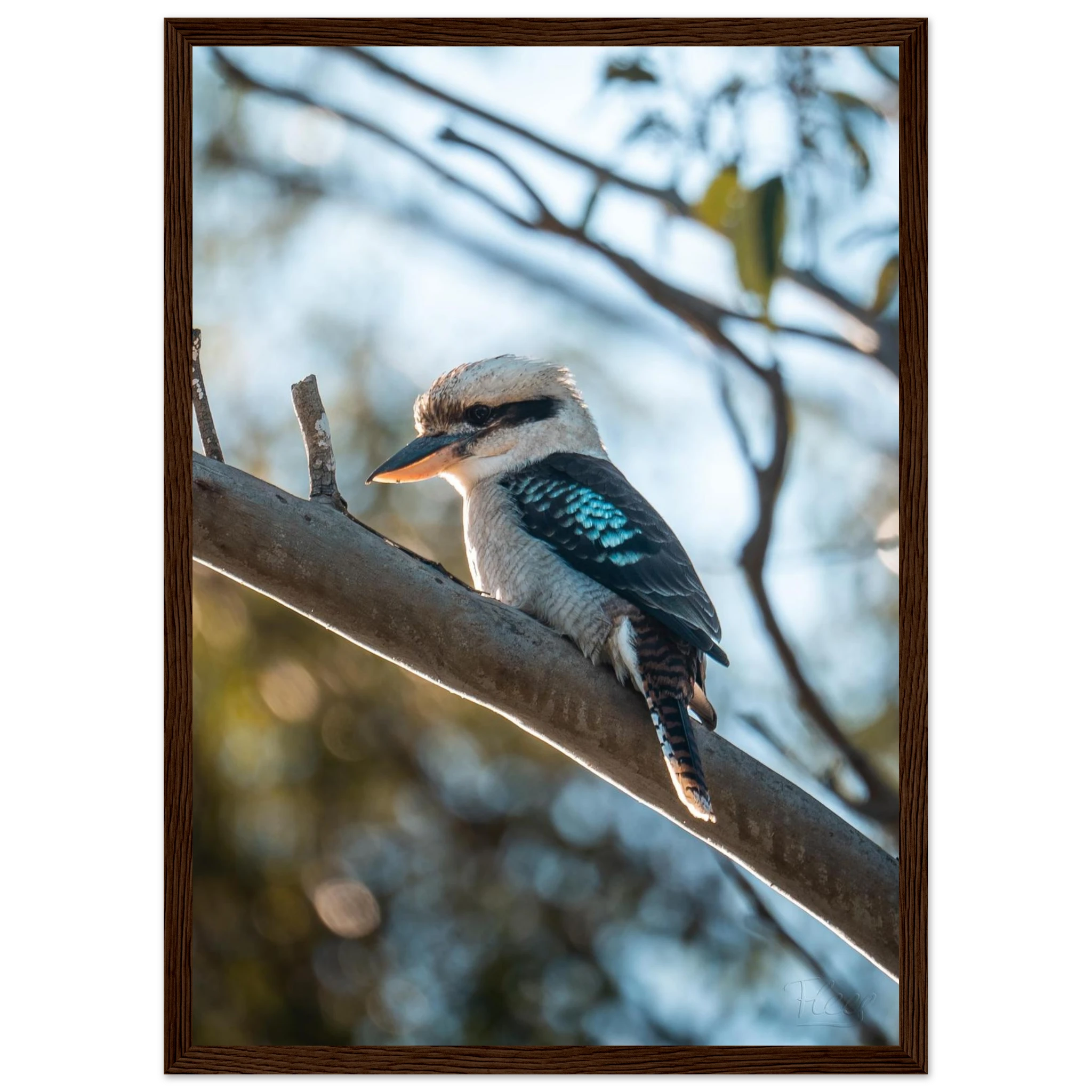 65807b8d-d6ef-4982-8727-22822c59517a