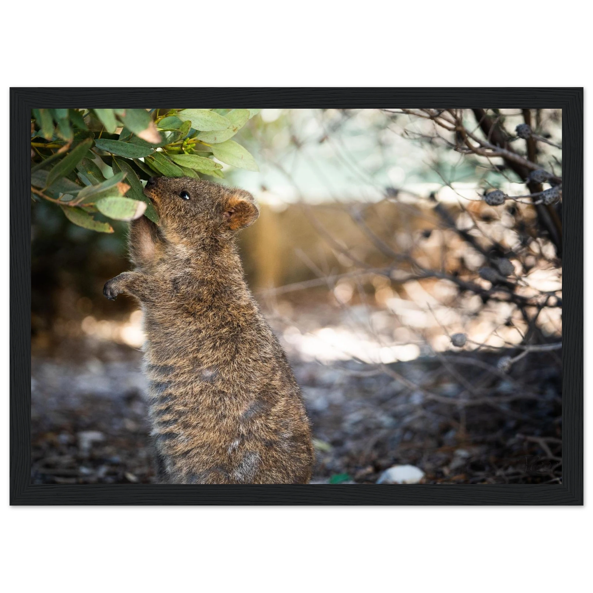 65808808-615a-4516-b0a2-bbf3033437e1