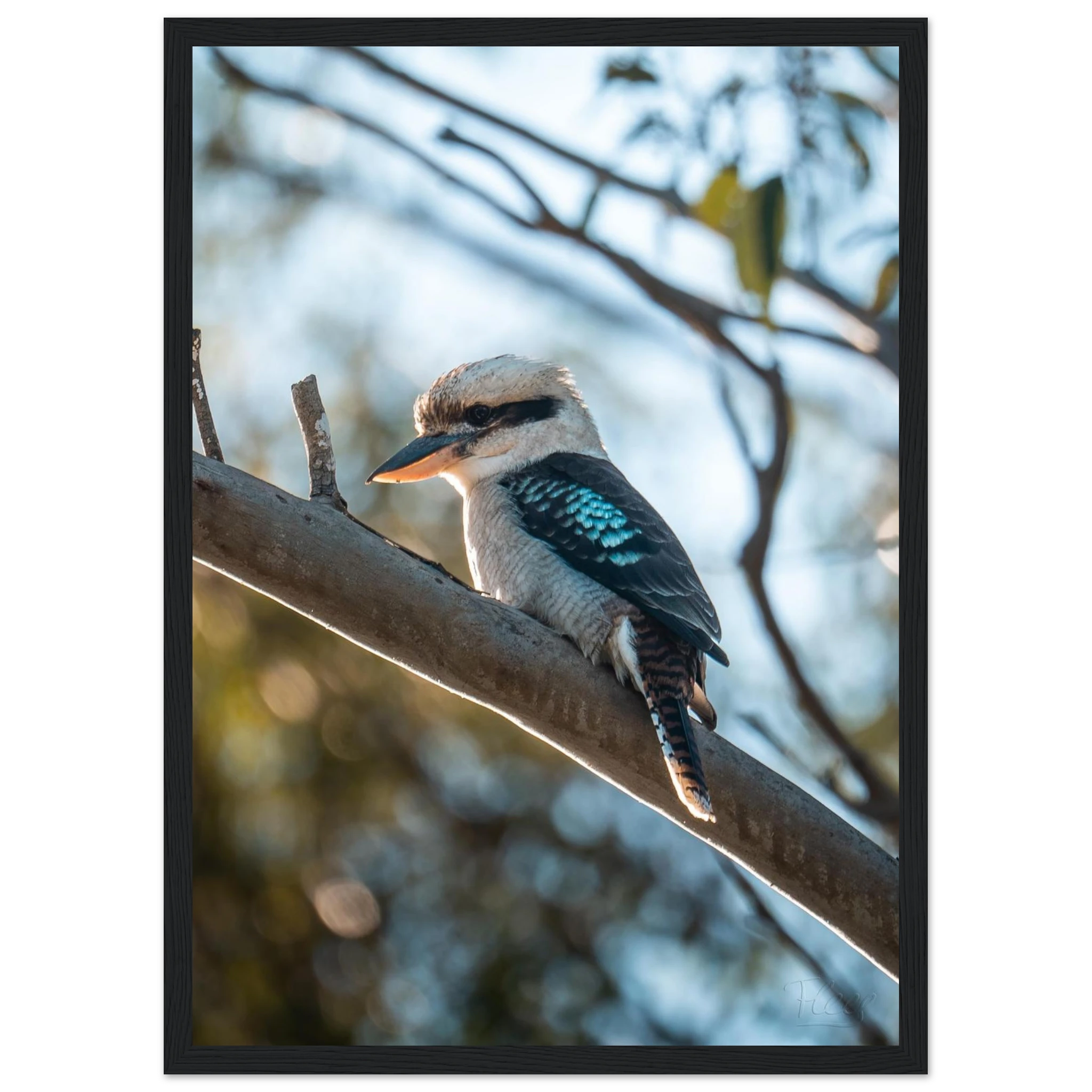 65bed556-5e4a-4e31-b854-ae6d1a063f42