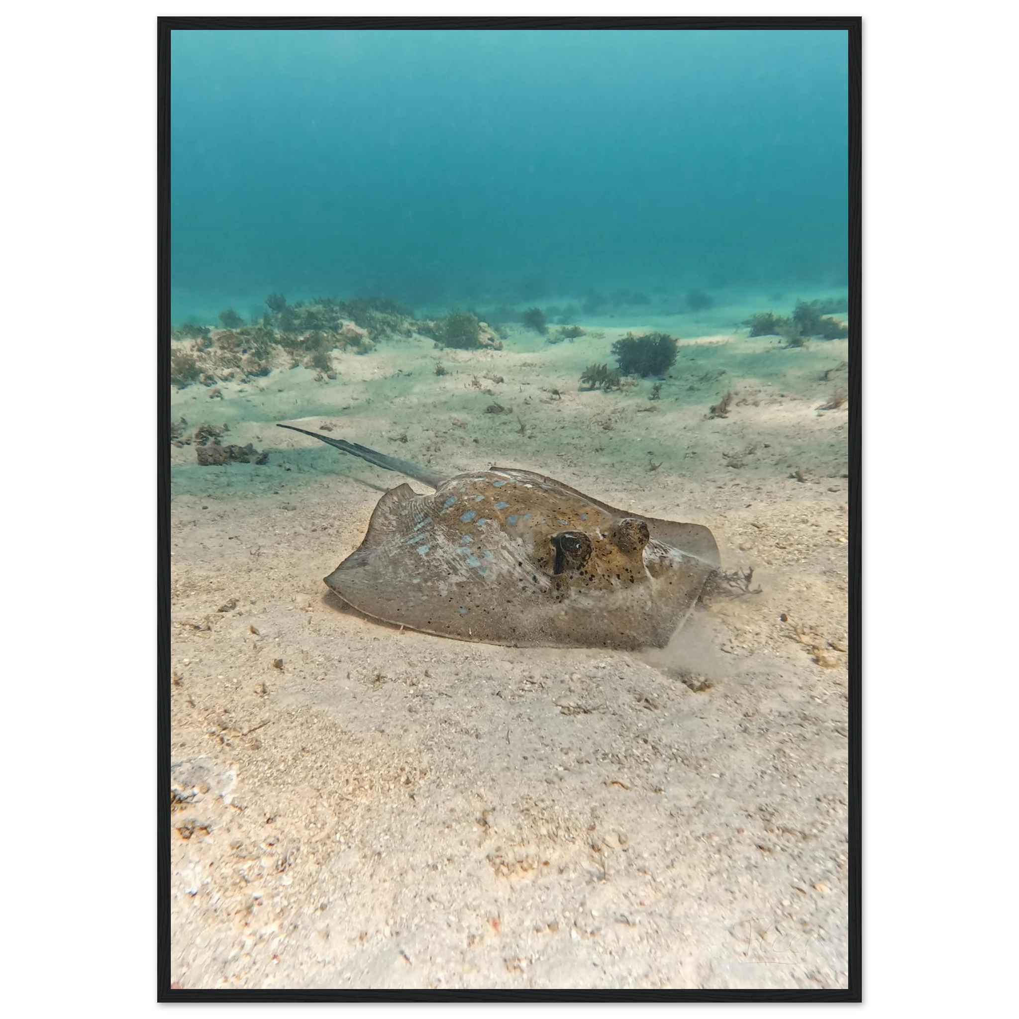 65d04246-b31d-4924-9be9-cf1bd21a33e2