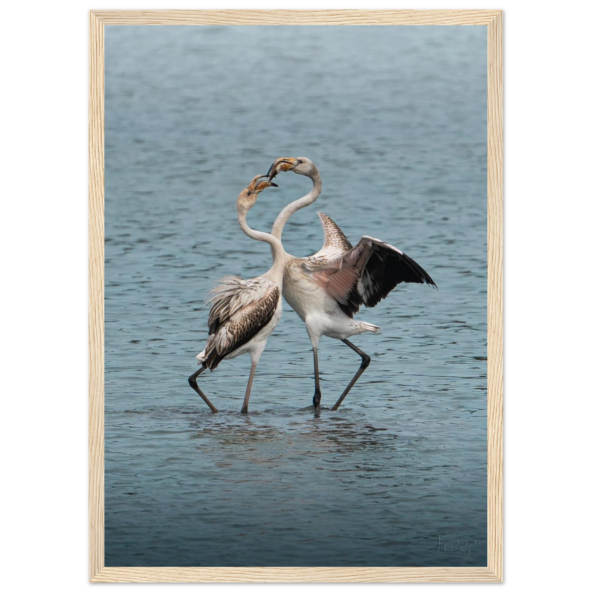 661fd5ca-0f6c-40ed-992b-c9a804f43121