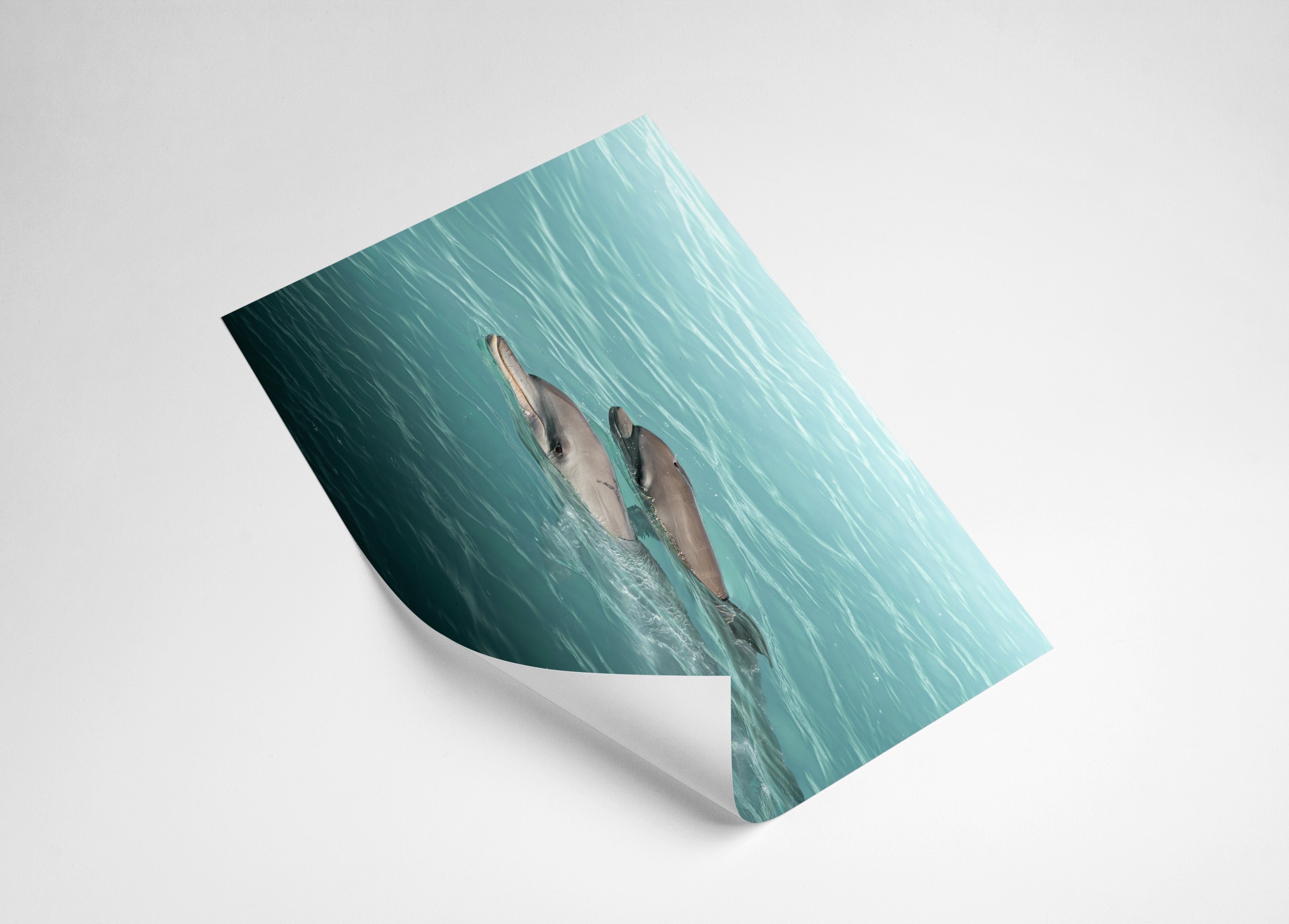 664cc265-0516-42fd-8c0b-2220c47250a3