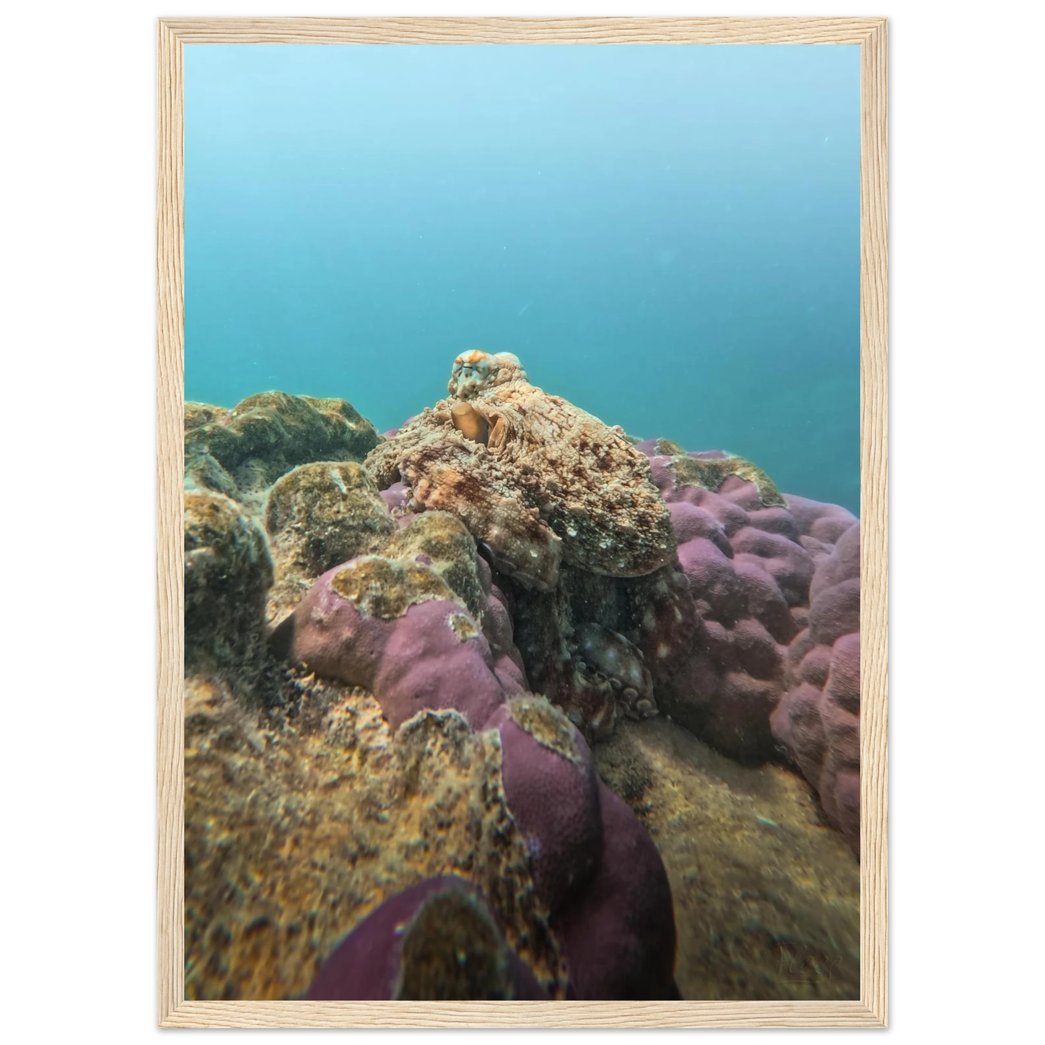 66e4cfd5-1a4b-44a0-a384-6daed8d41bc7