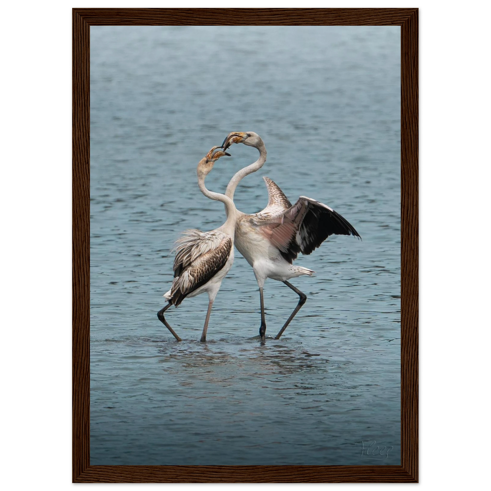 68a2abf3-bc8f-4d0c-bd50-e2aade11f1a4