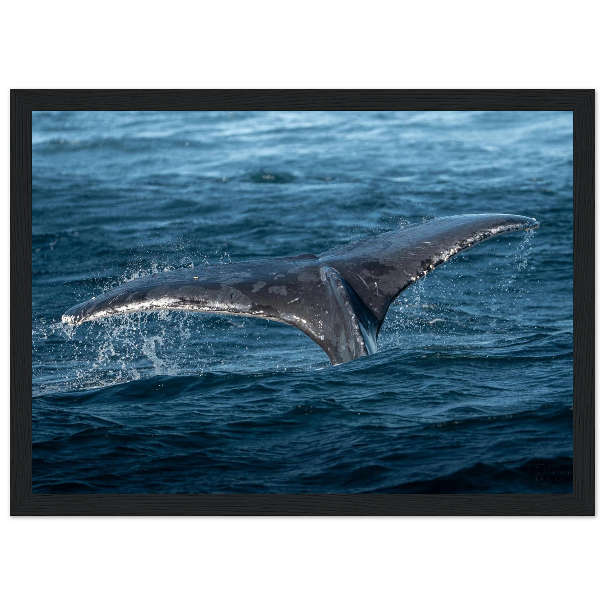 68dbf16a-34c5-4b6f-a862-104c383e6621