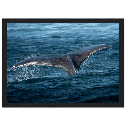 68dbf16a-34c5-4b6f-a862-104c383e6621