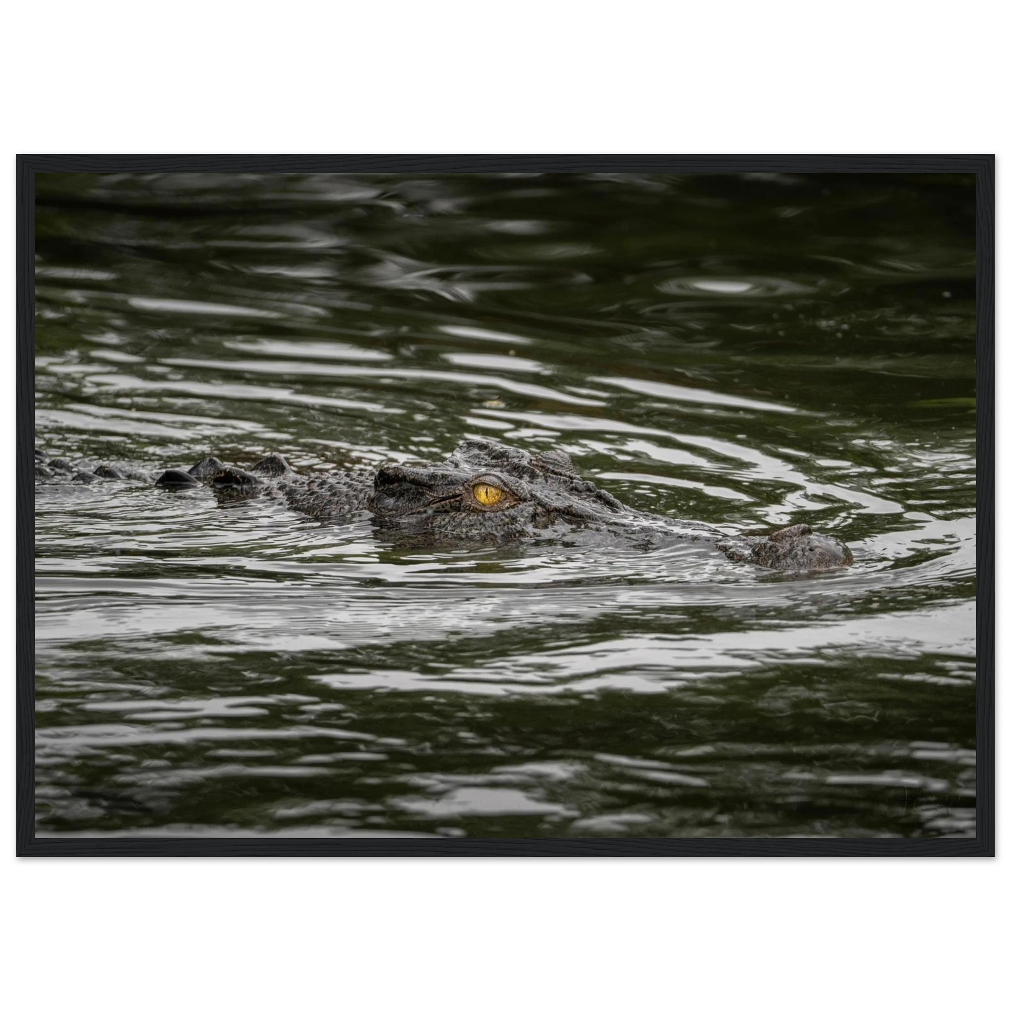 698b1249-5383-4015-9aeb-5fb17873aab0