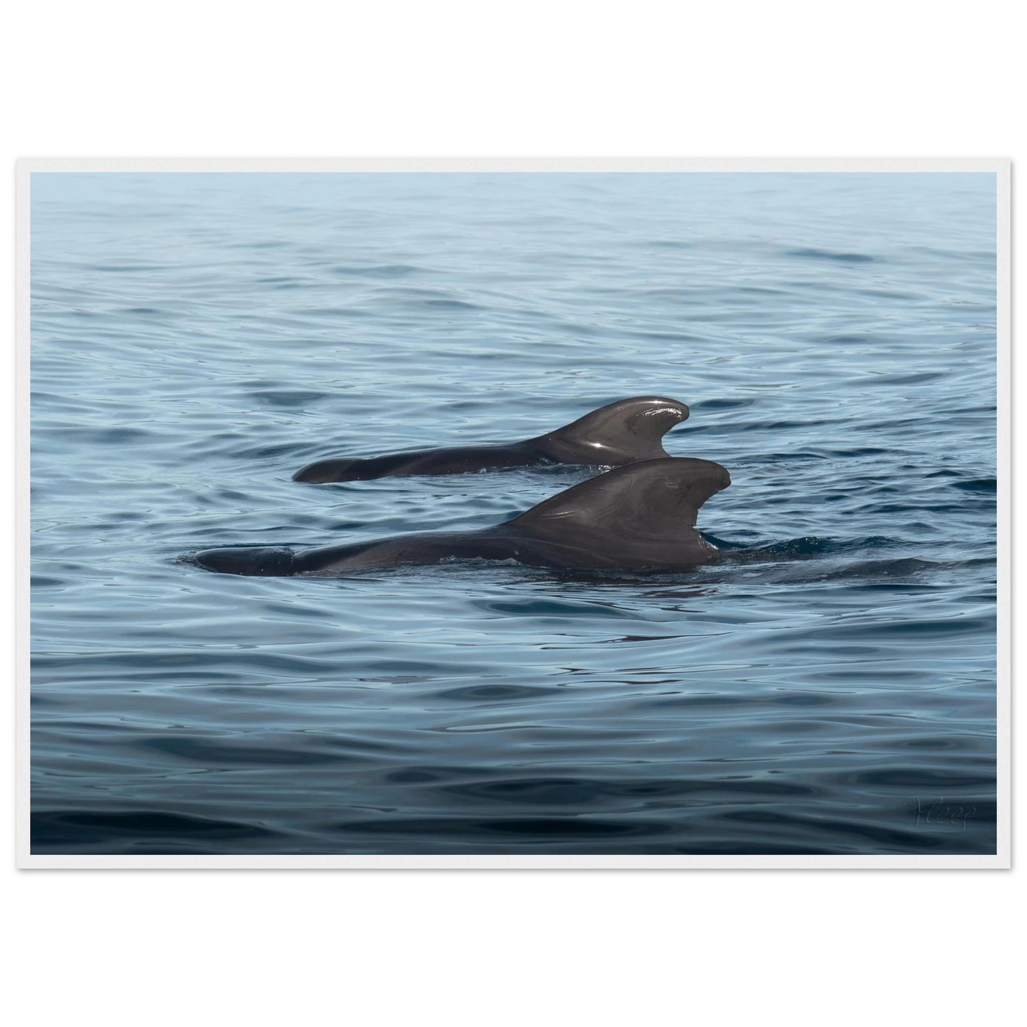 69ac6a0e-096a-434c-b788-aaef4b32b6e3